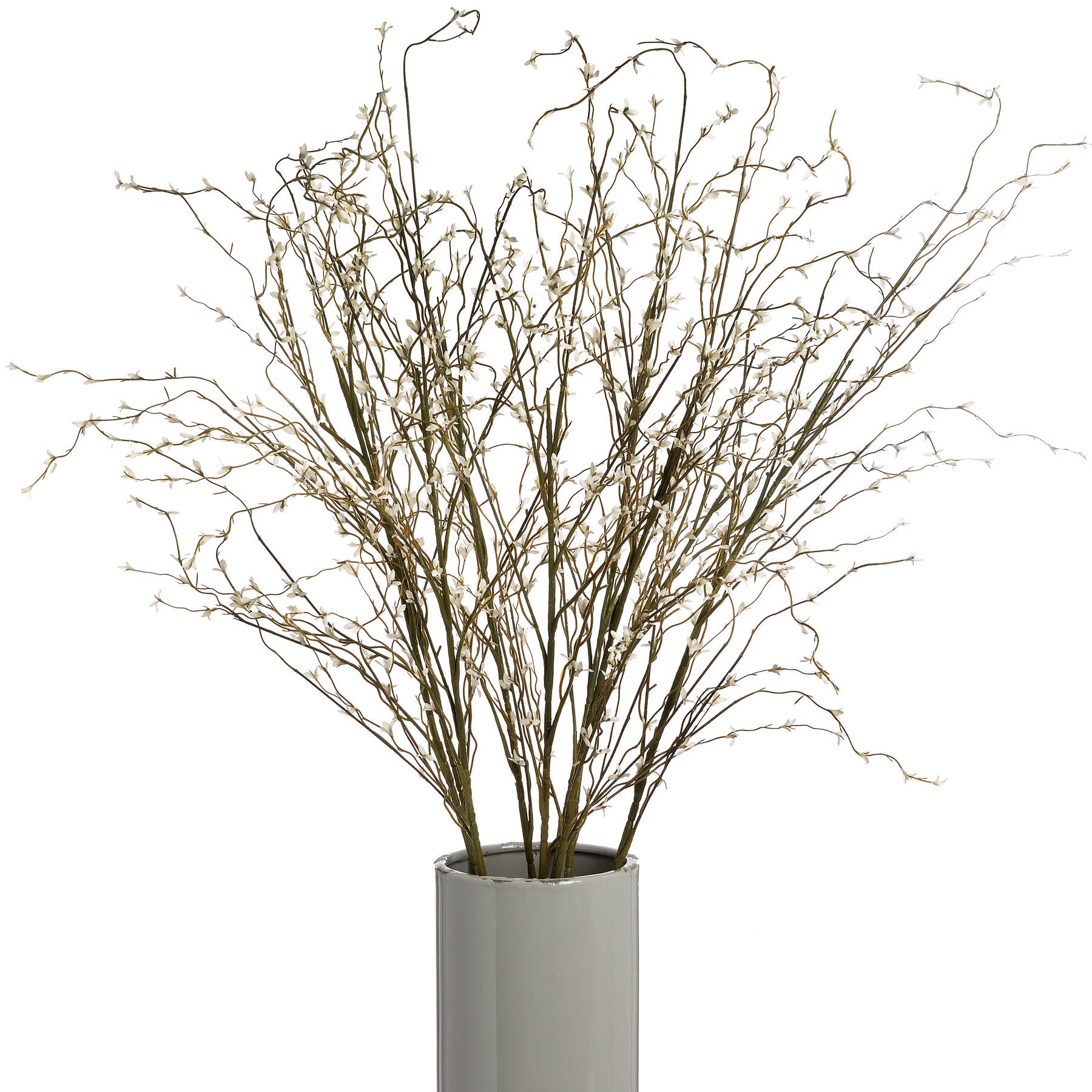 White Willow Stem