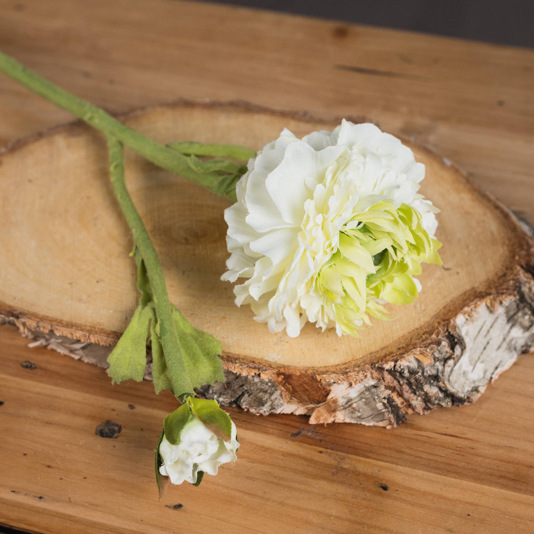 Green Ranunculus Stem