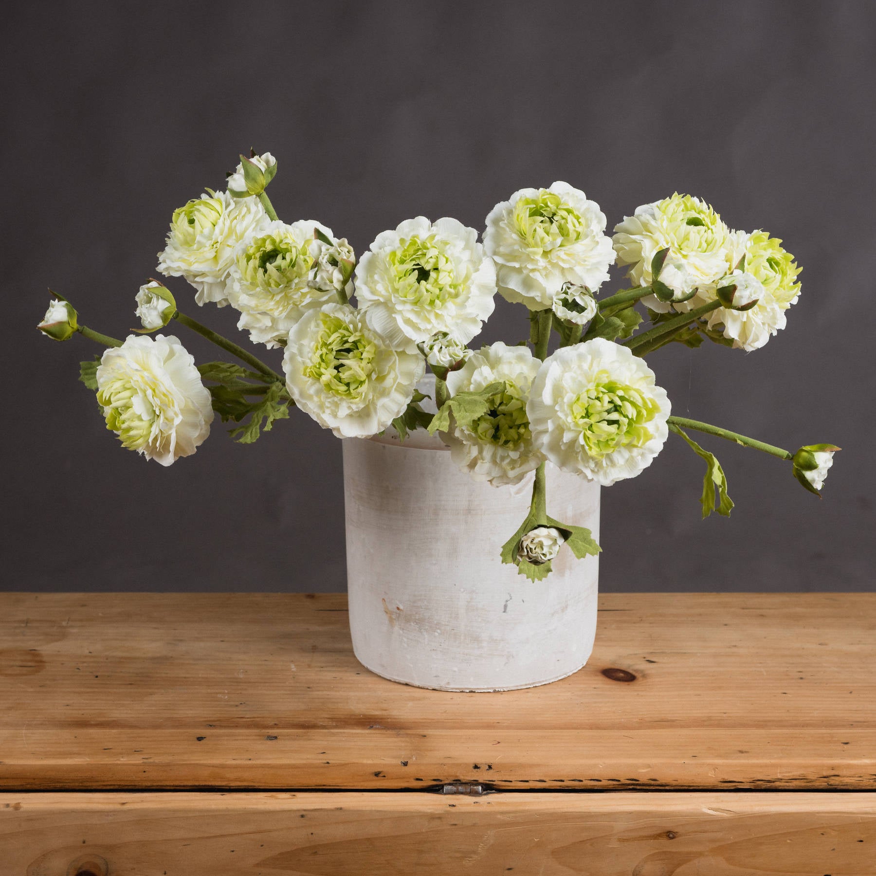Green Ranunculus Stem