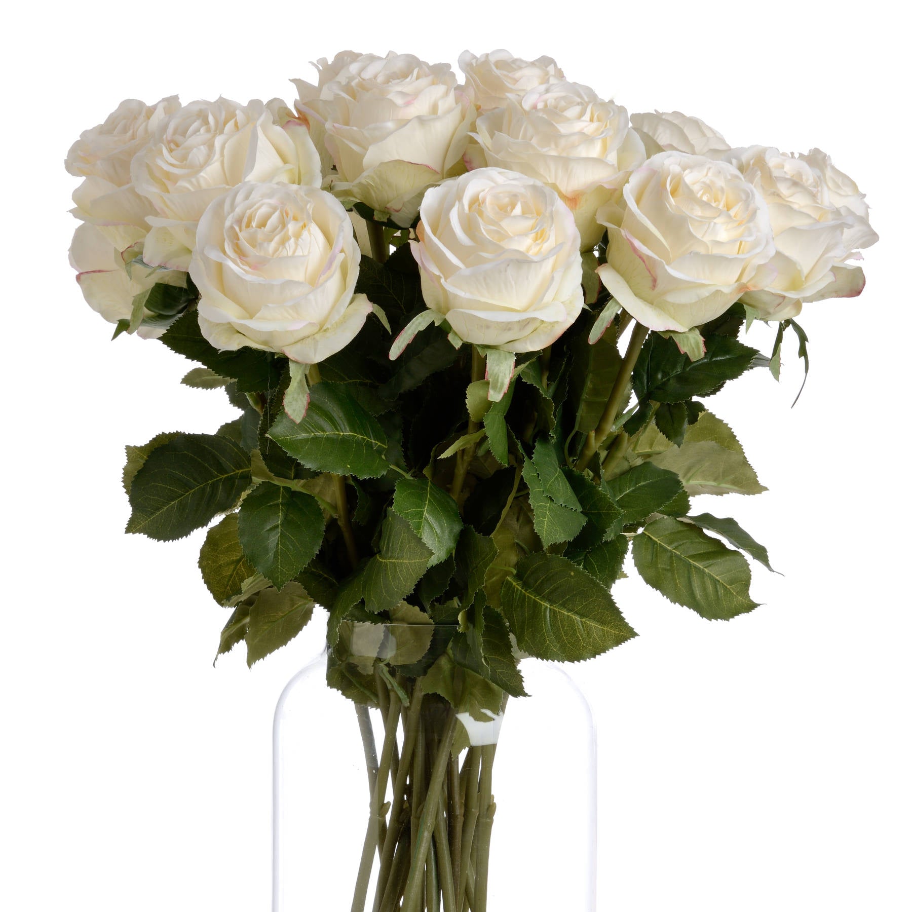Classic White Rose Stem
