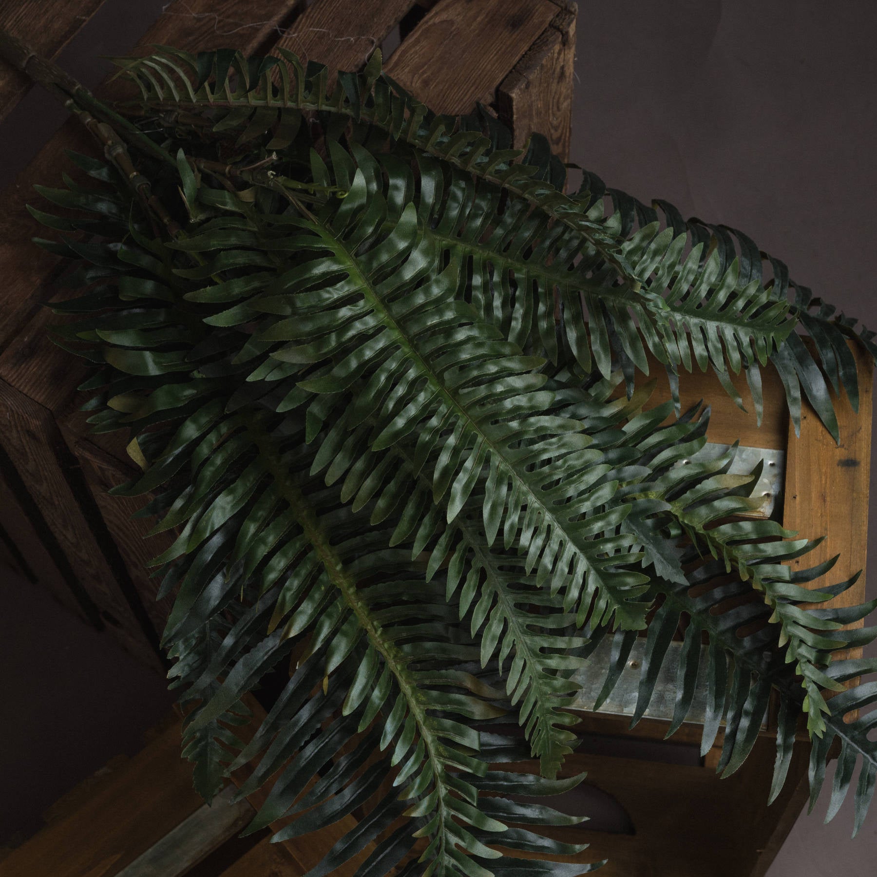 Evergreen Fern Bunch