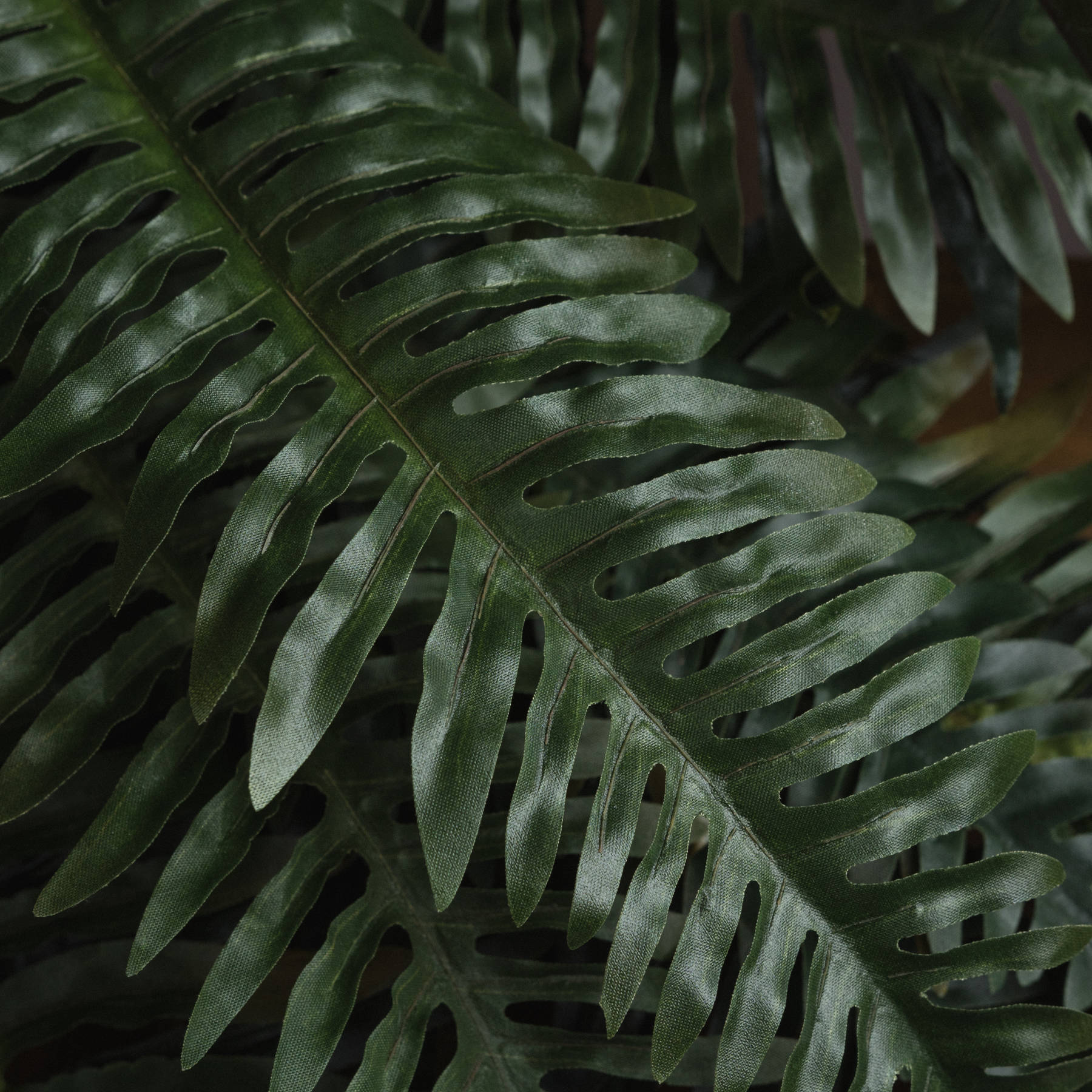 Evergreen Fern Bunch