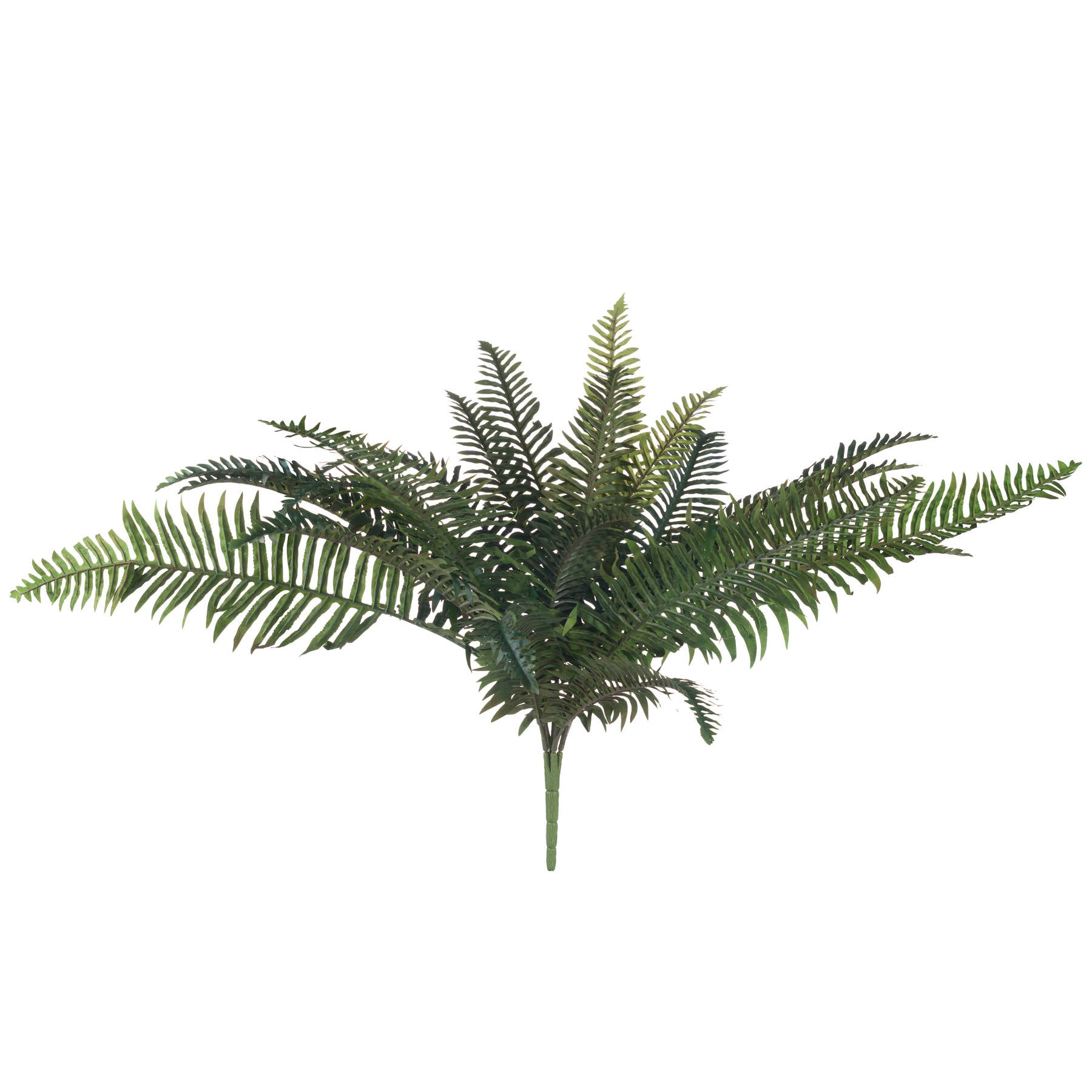 Evergreen Fern Bunch