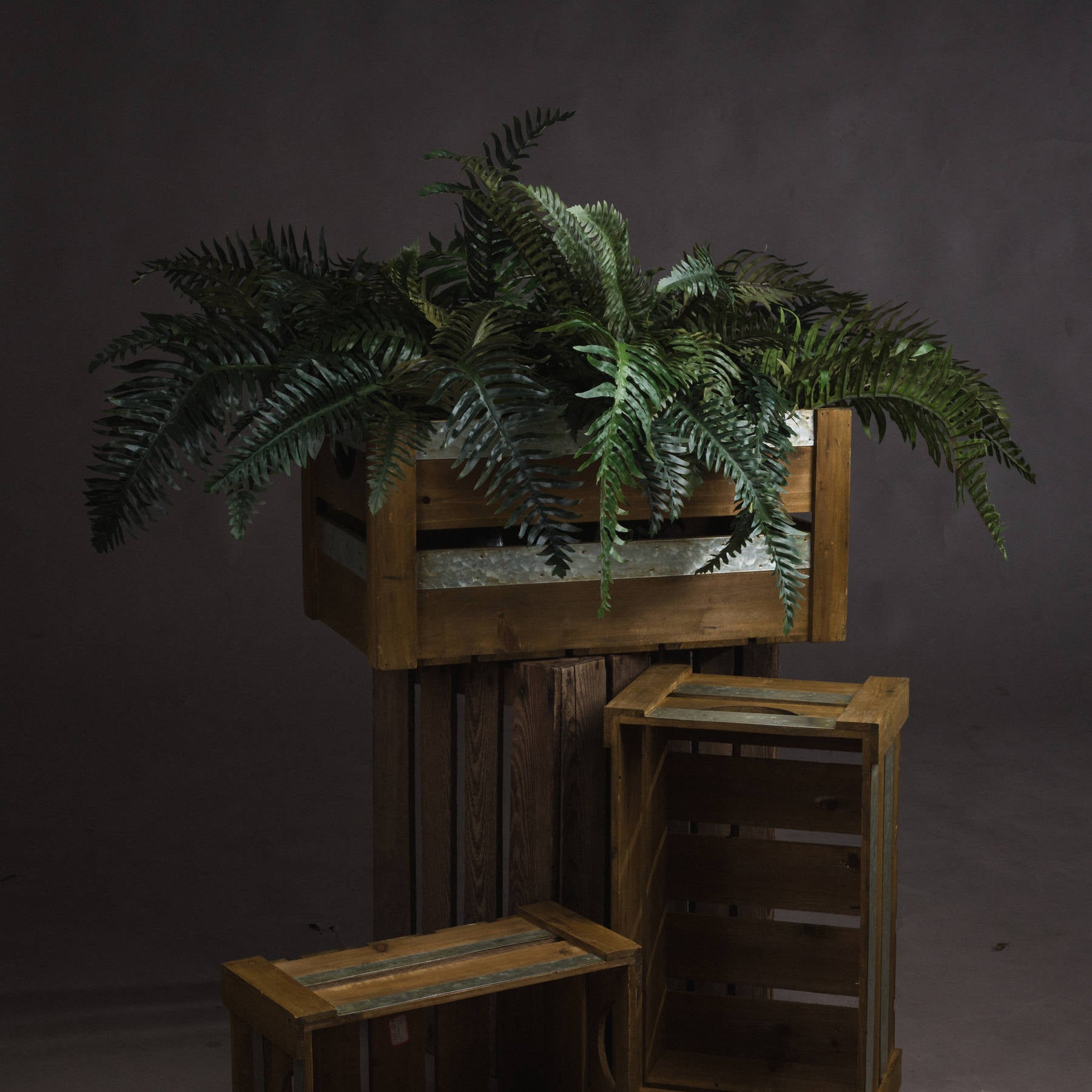 Evergreen Fern Bunch