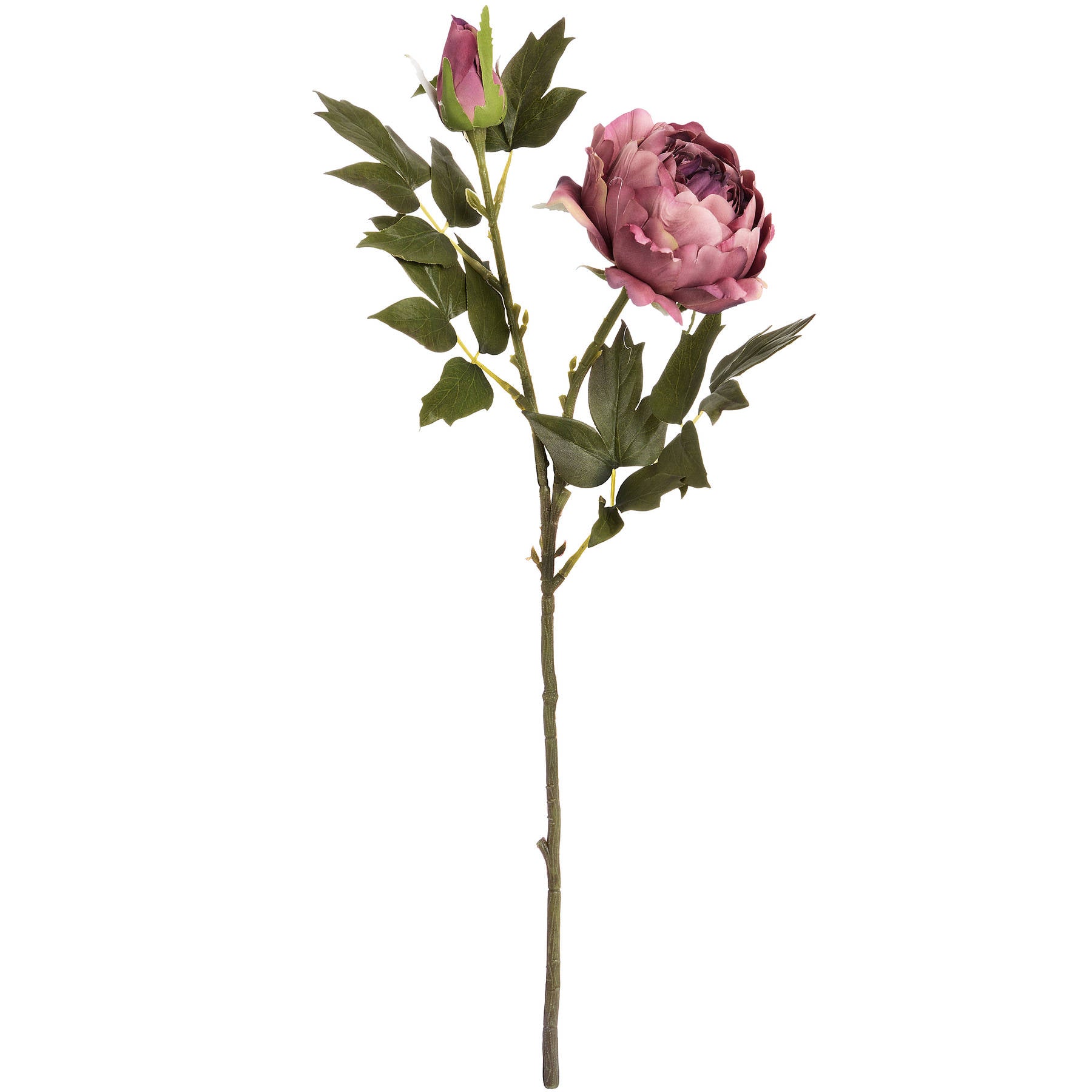 Vintage Rose Peony Stem
