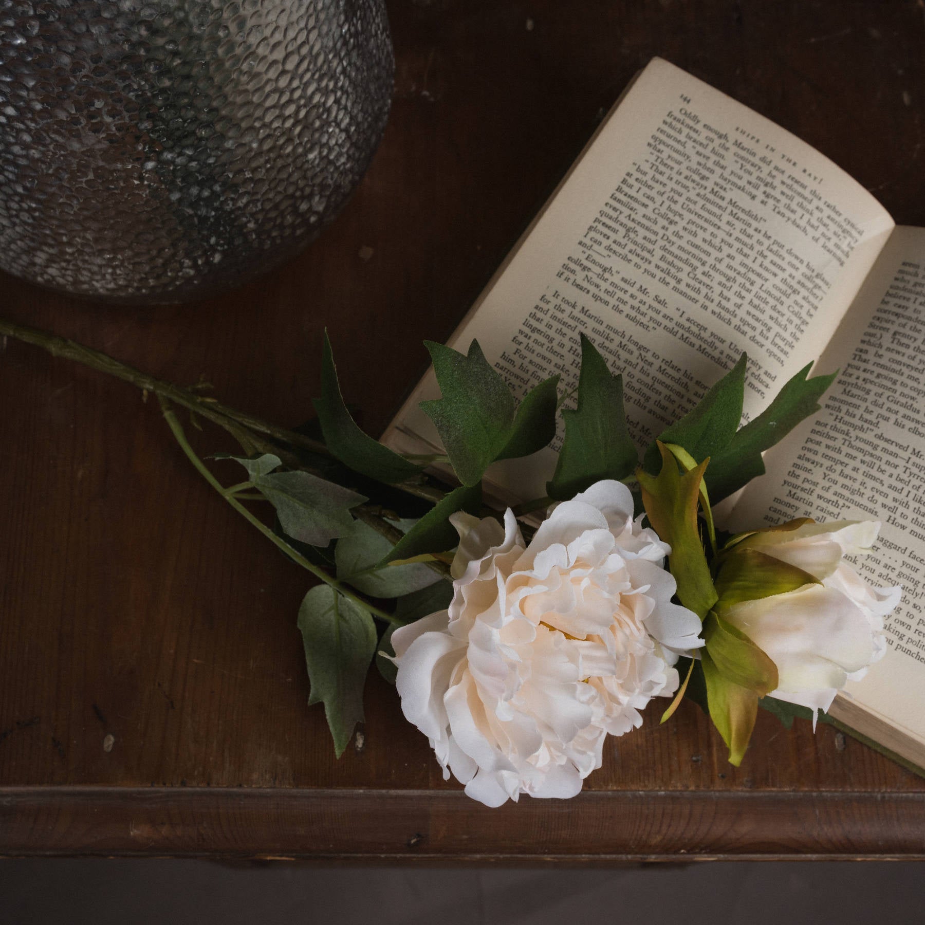 White Peony Bloom Stem