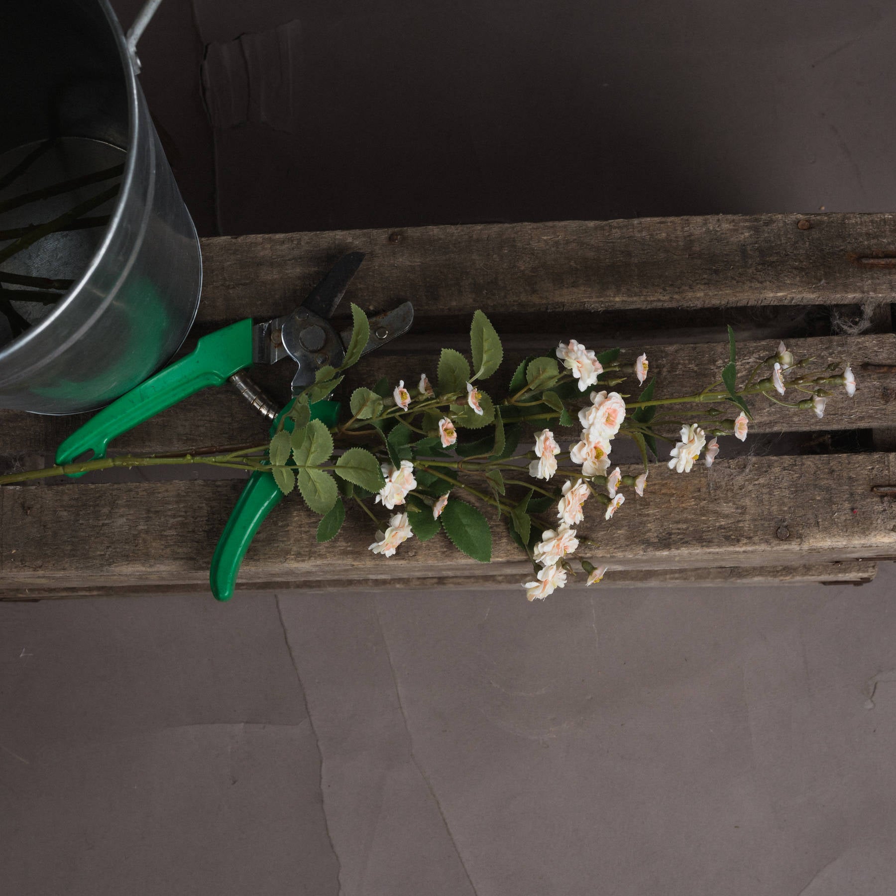 Cream Wild Meadow Rose Stem