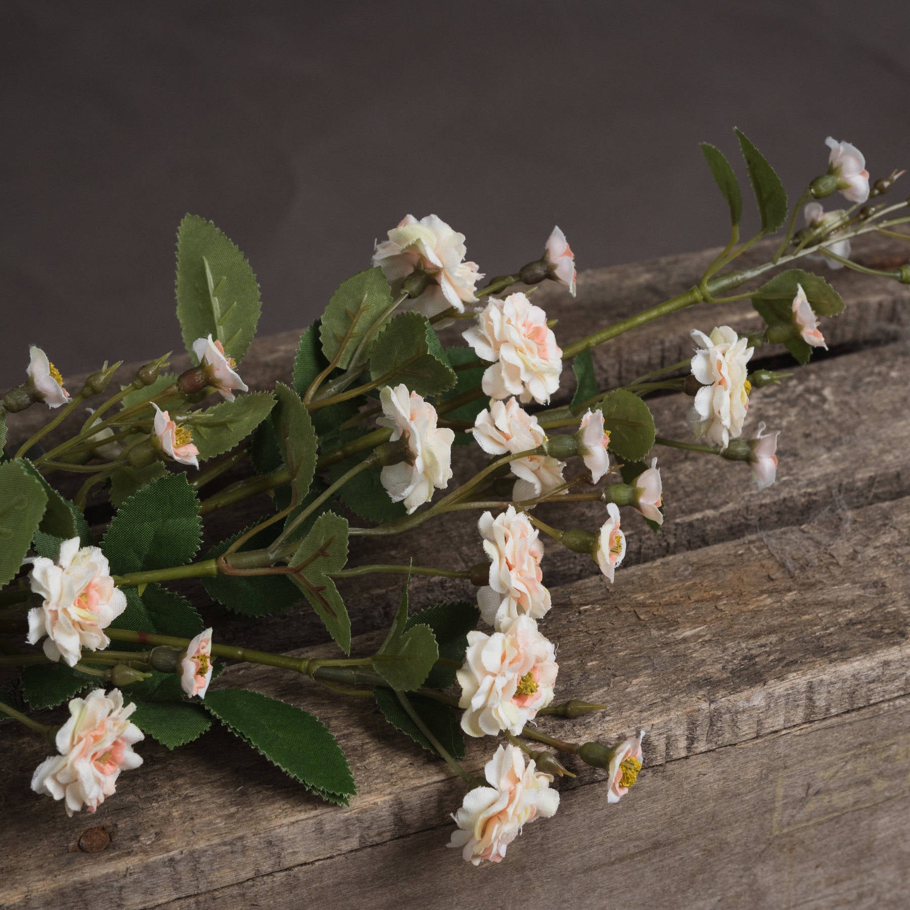 Cream Wild Meadow Rose Stem
