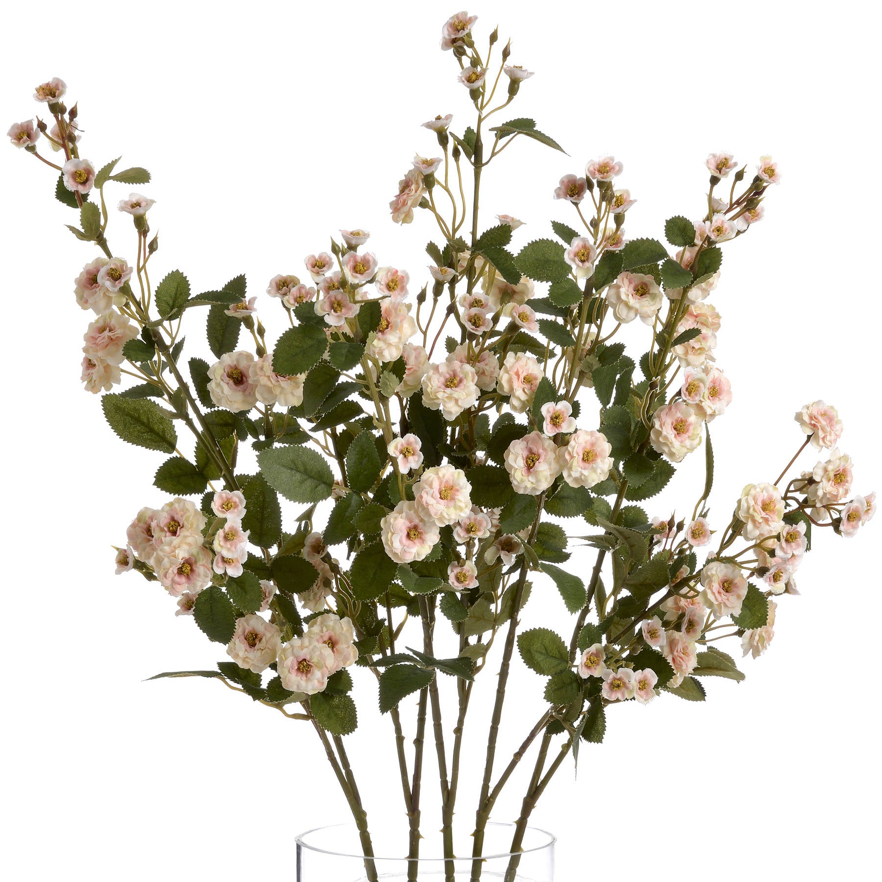 Cream Wild Meadow Rose Stem
