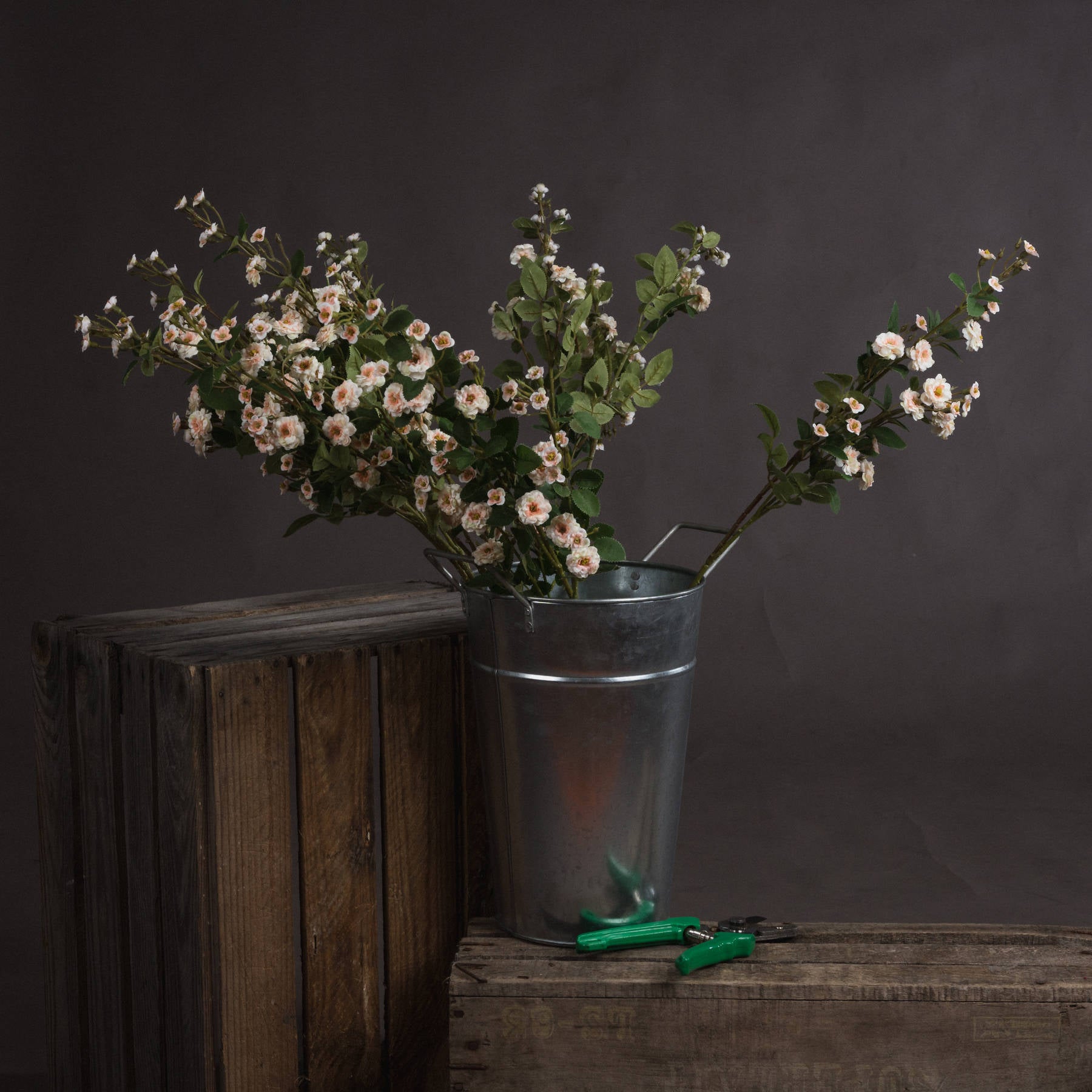 Cream Wild Meadow Rose Stem