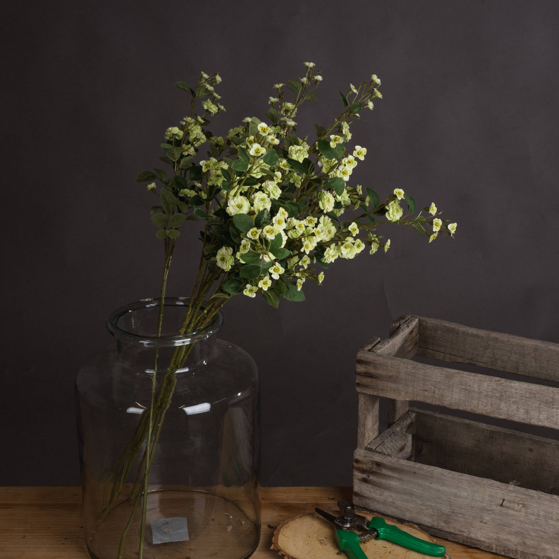 Green Wild Meadow Rose Stem
