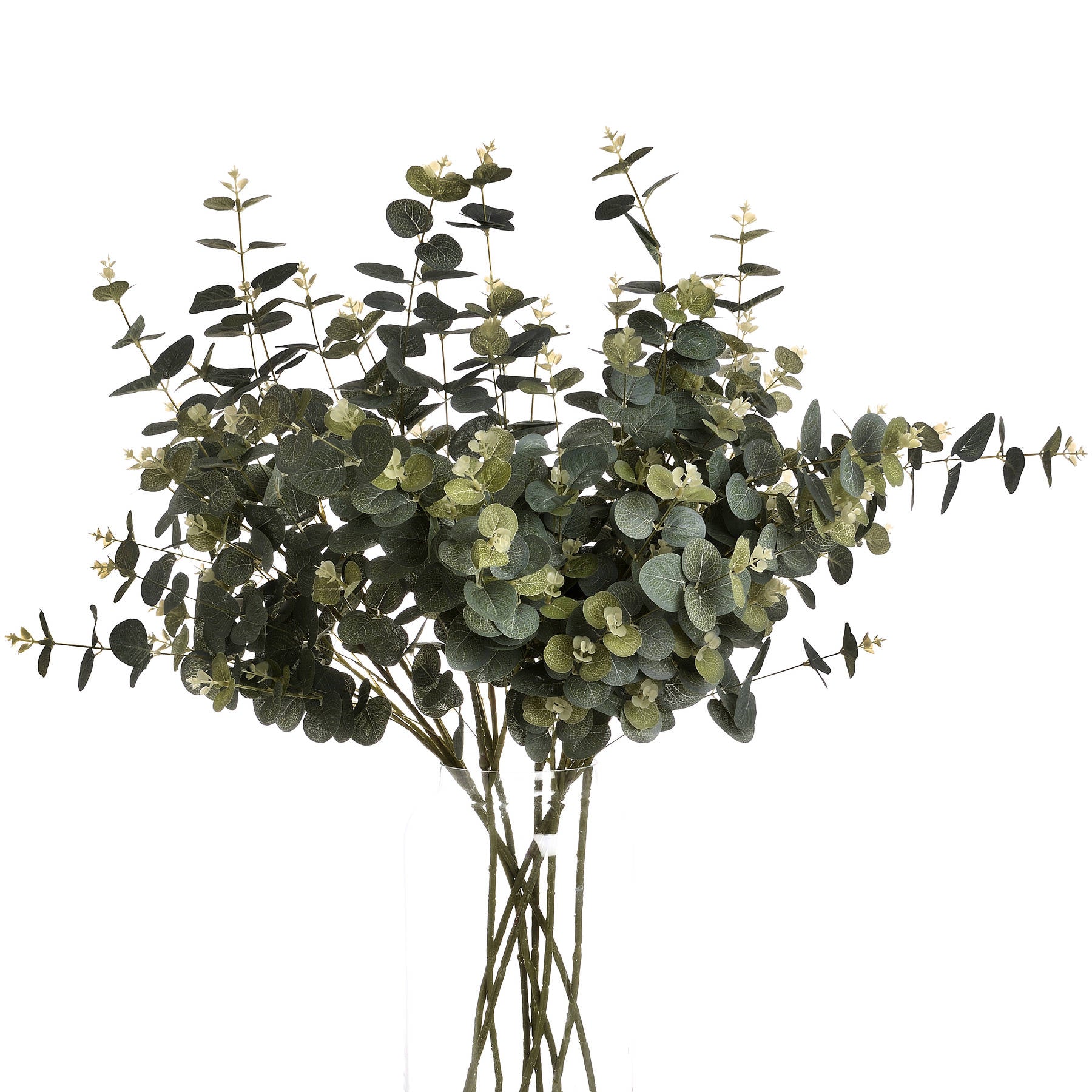 Natural Green Eucalyptus Spray