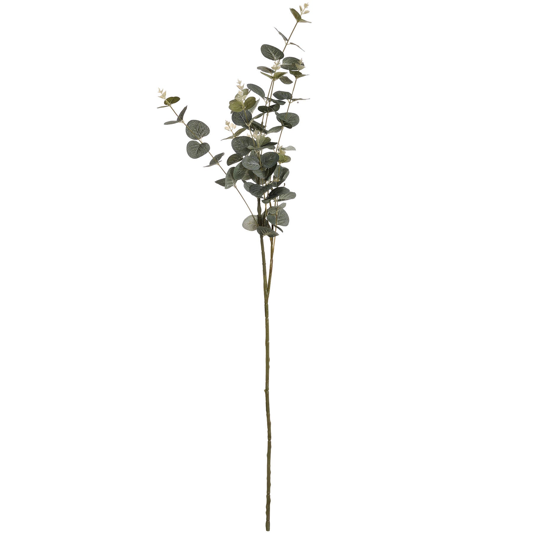 Natural Green Eucalyptus Spray