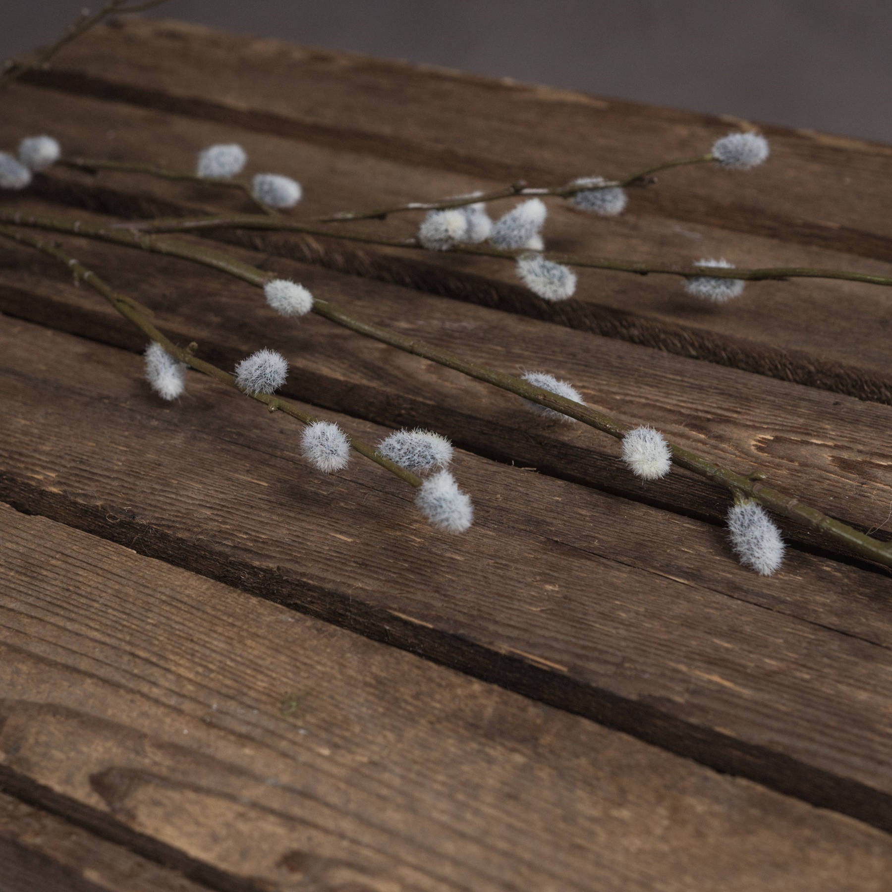 Soft Willow Branch Stem