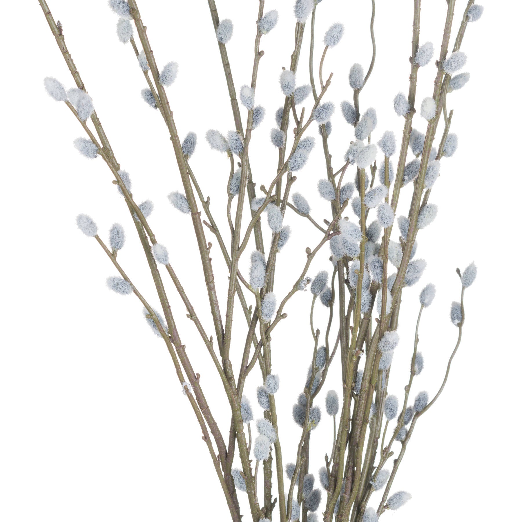 Soft Willow Branch Stem
