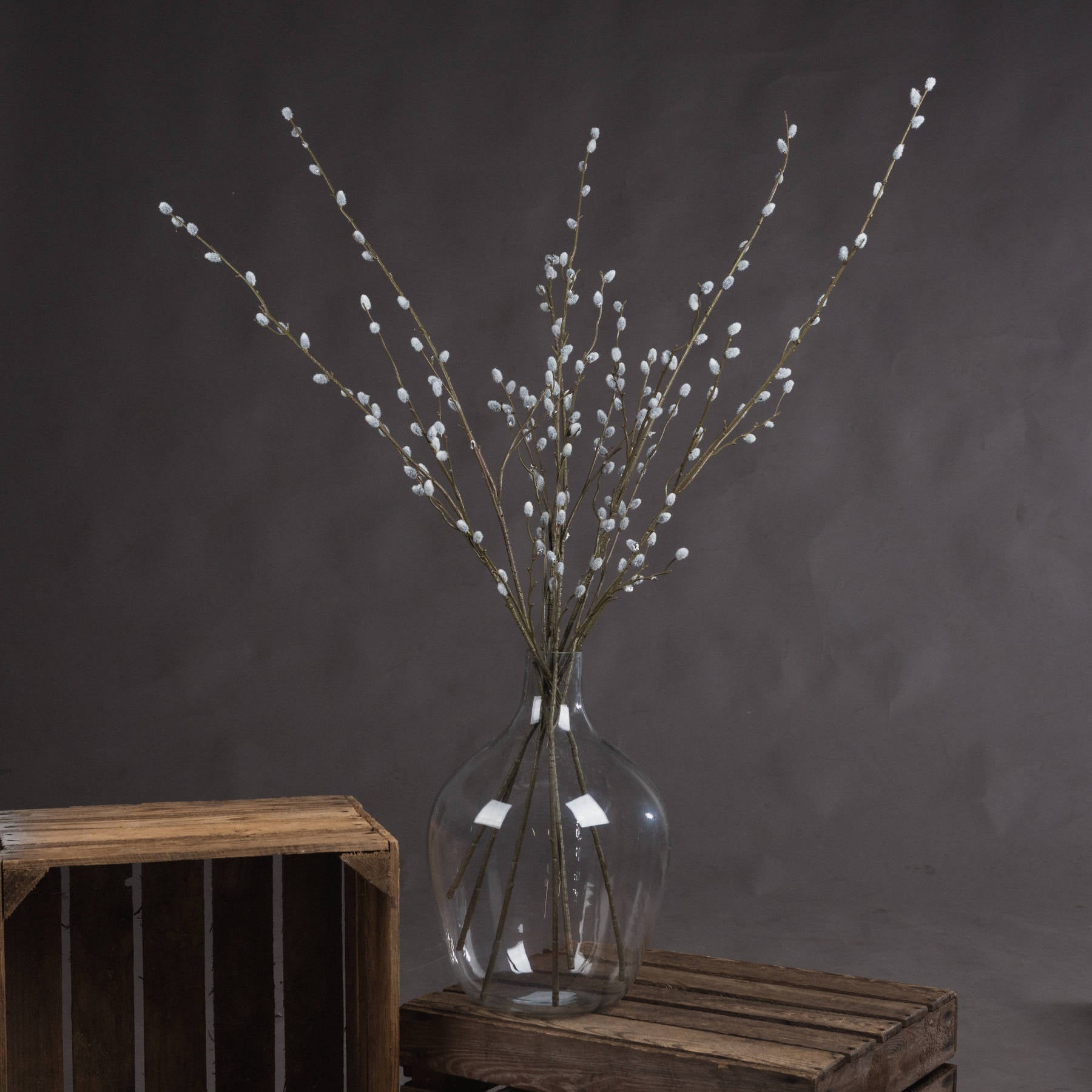Soft Willow Branch Stem