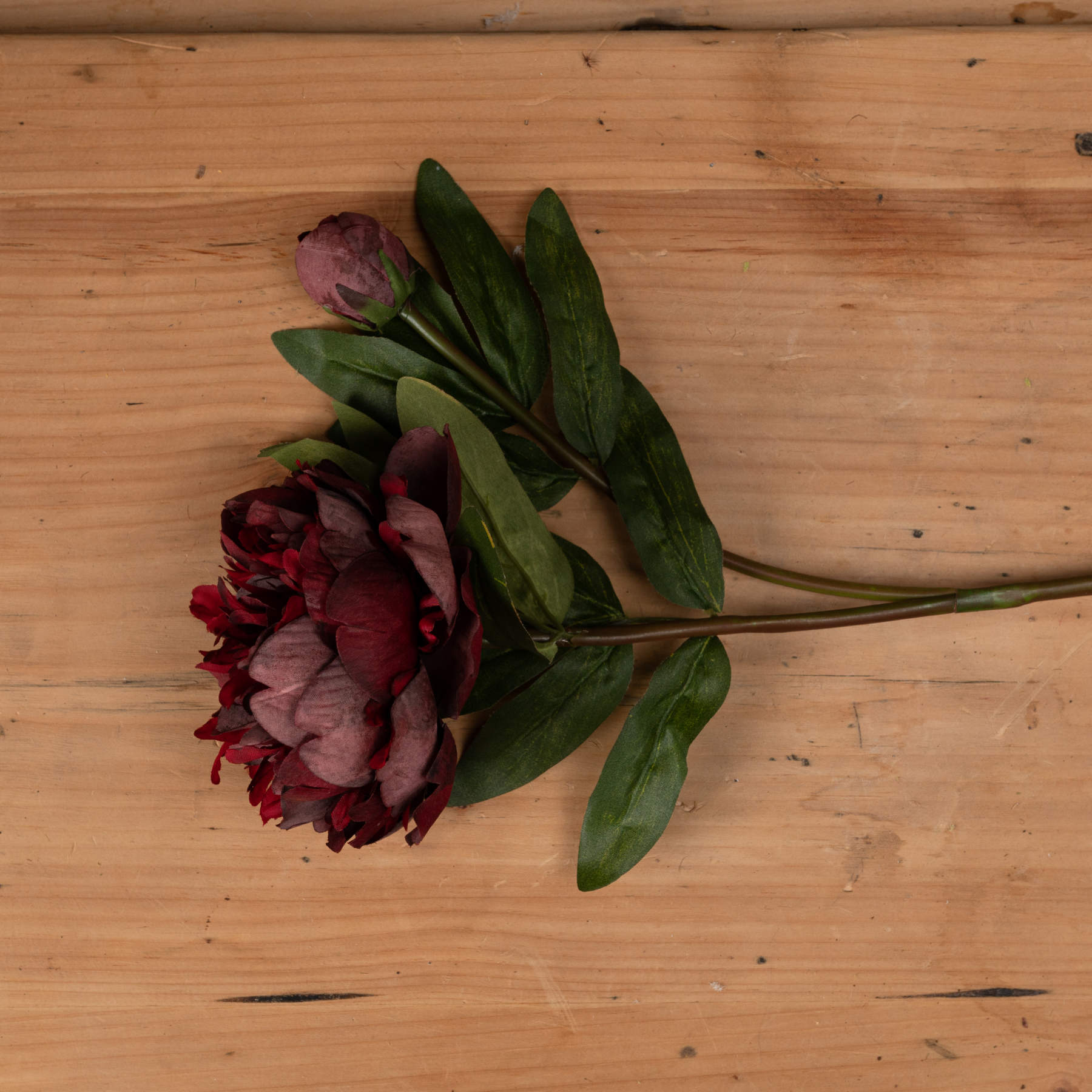 Burgundy Peony Rose Stem