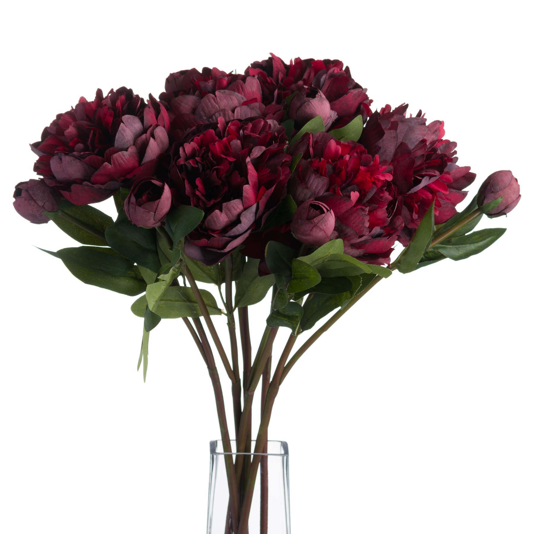 Burgundy Peony Rose Stem