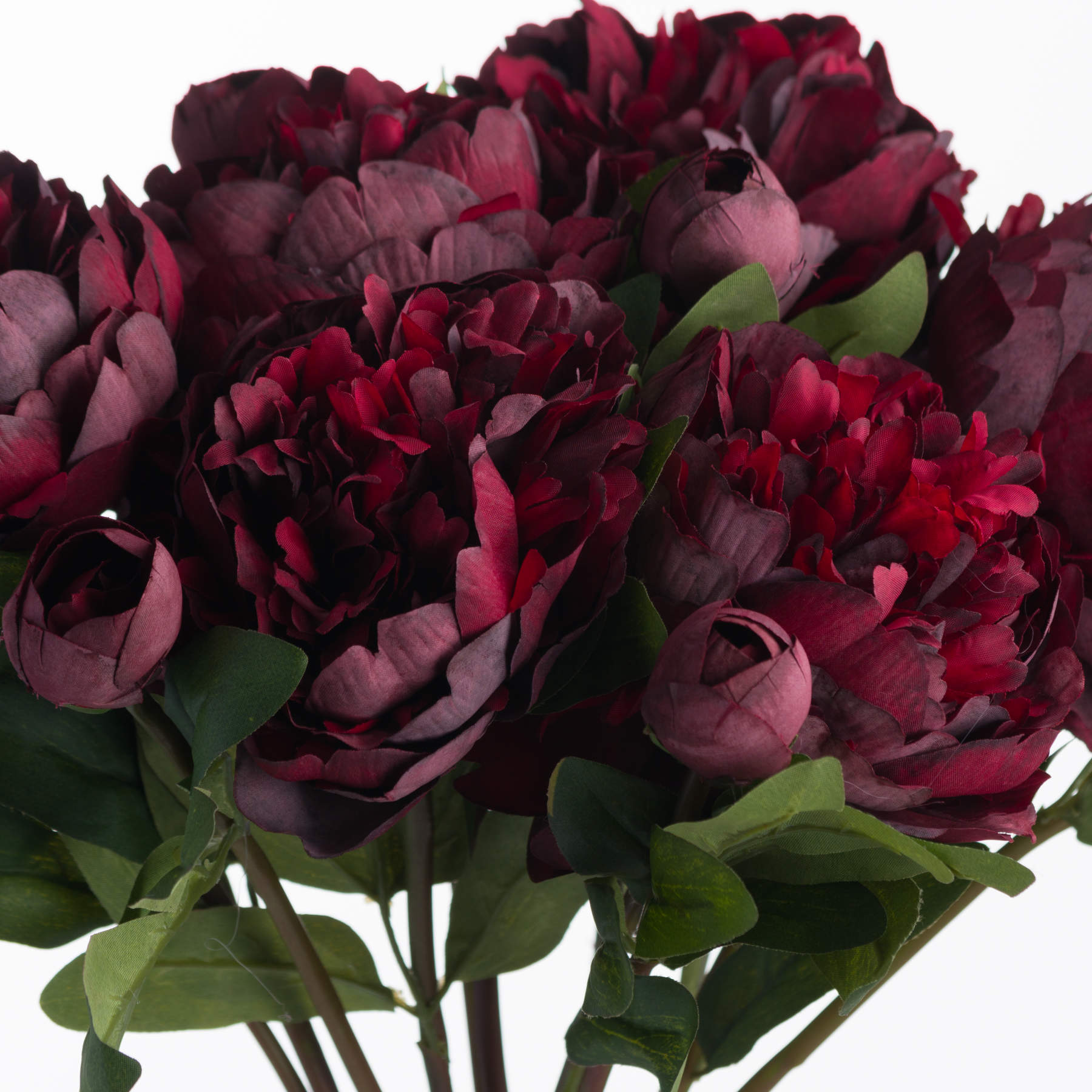 Burgundy Peony Rose Stem
