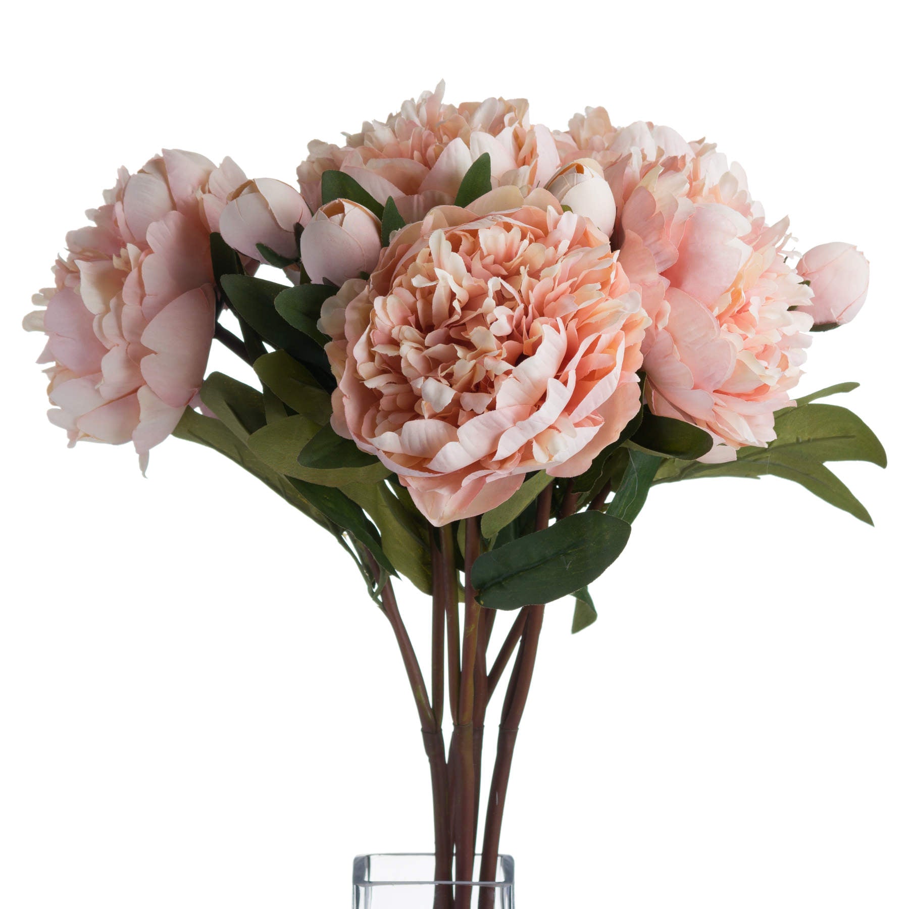 Peach Peony Rose Stem