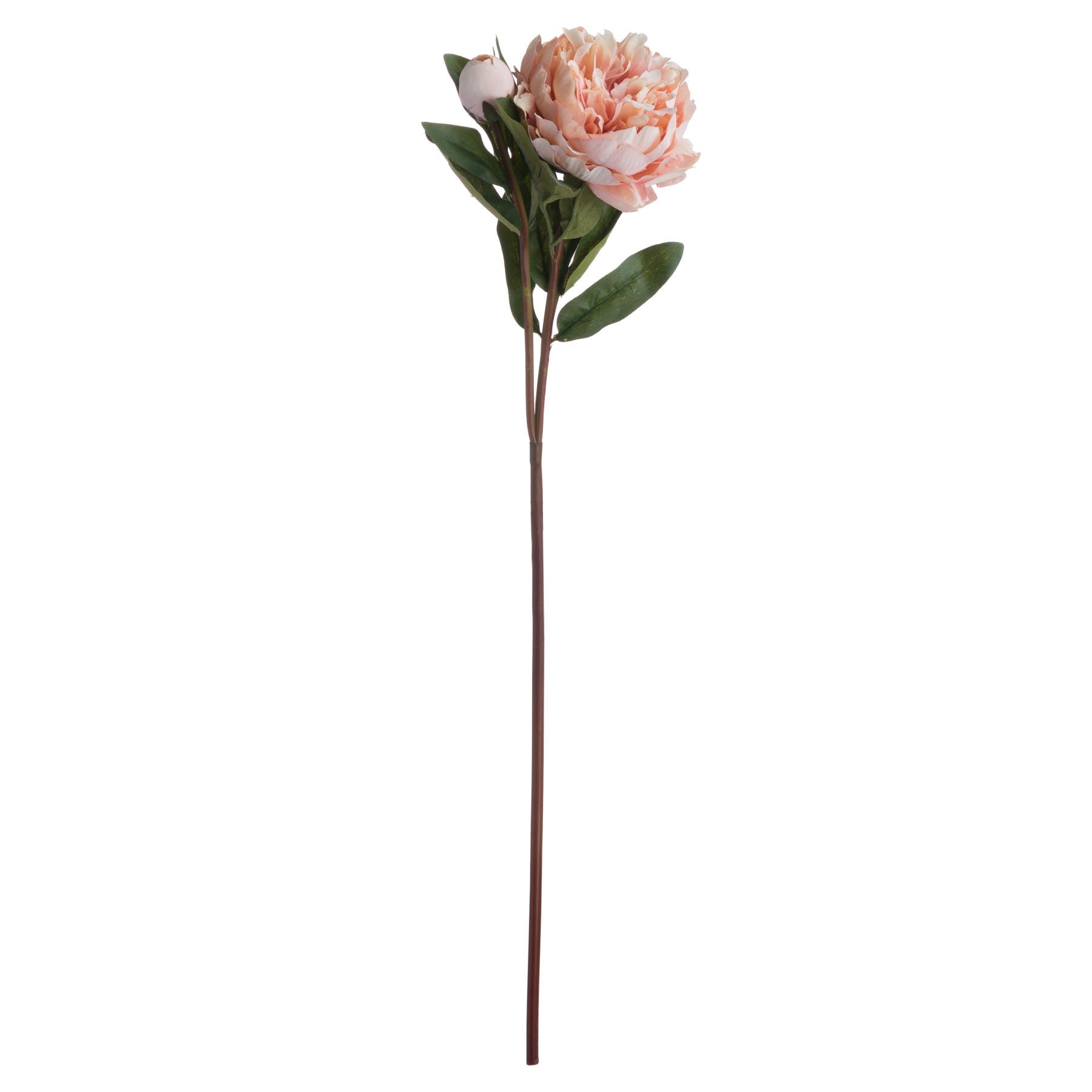 Peach Peony Rose Stem