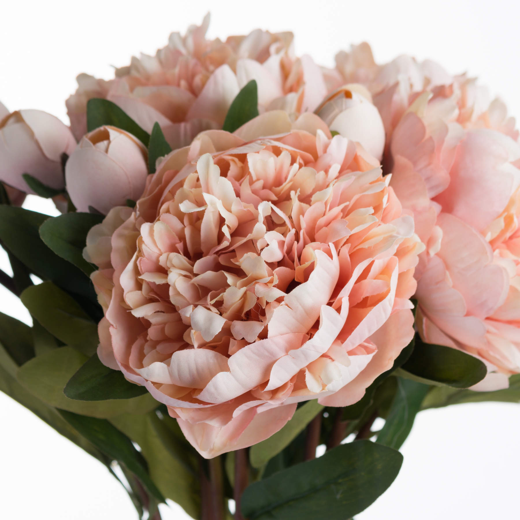 Peach Peony Rose Stem