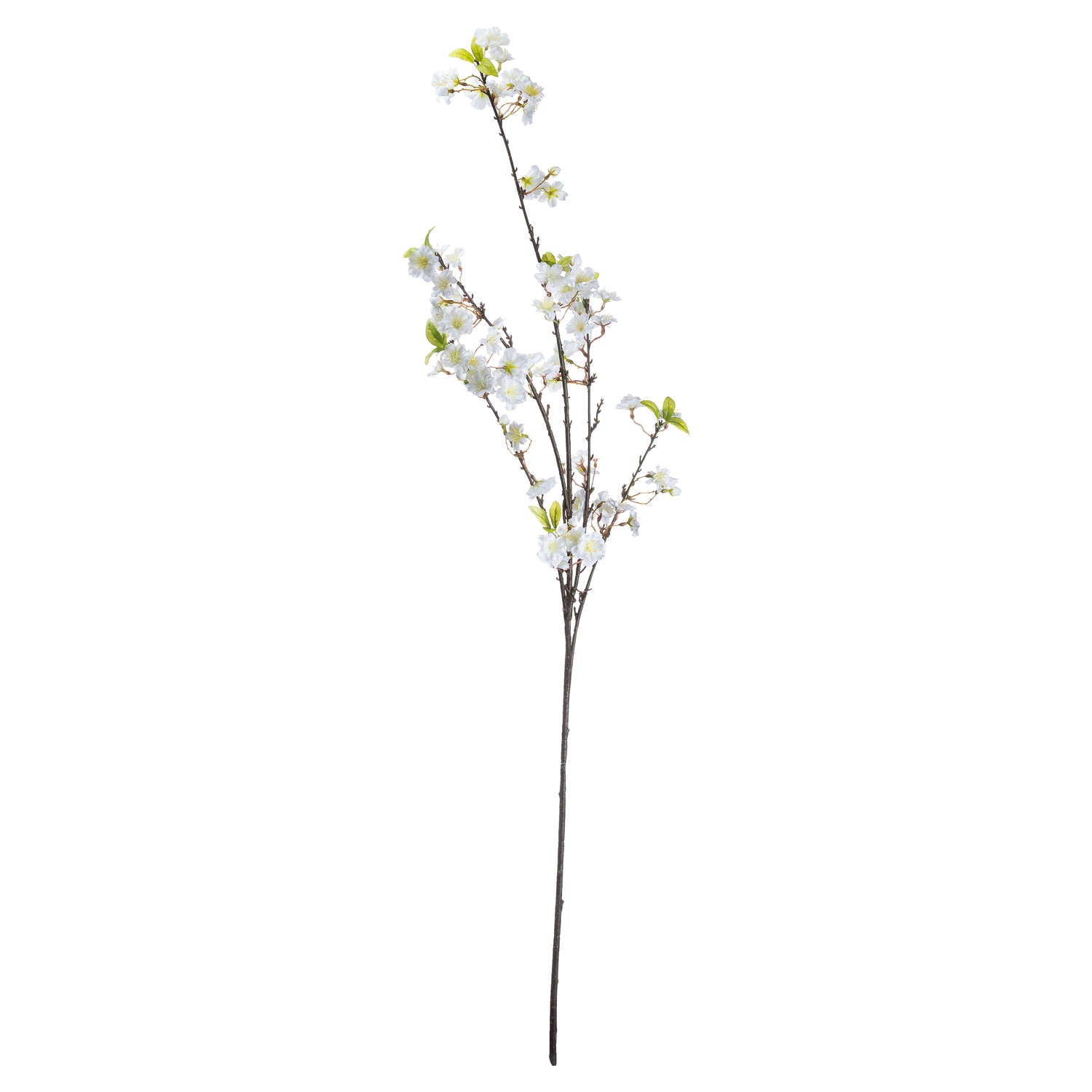White Cherry Blossom Stem