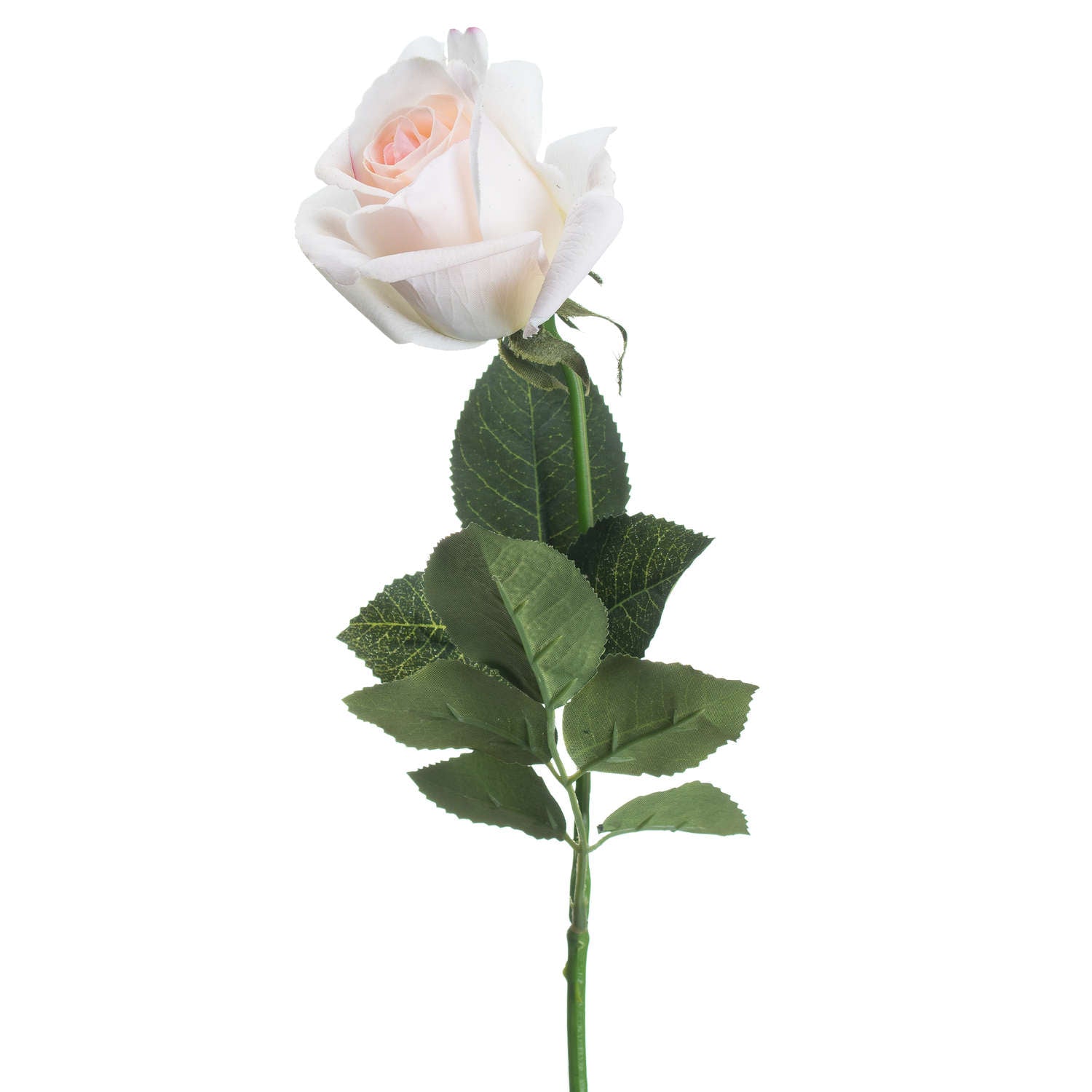 Pink Tea Rose Stem