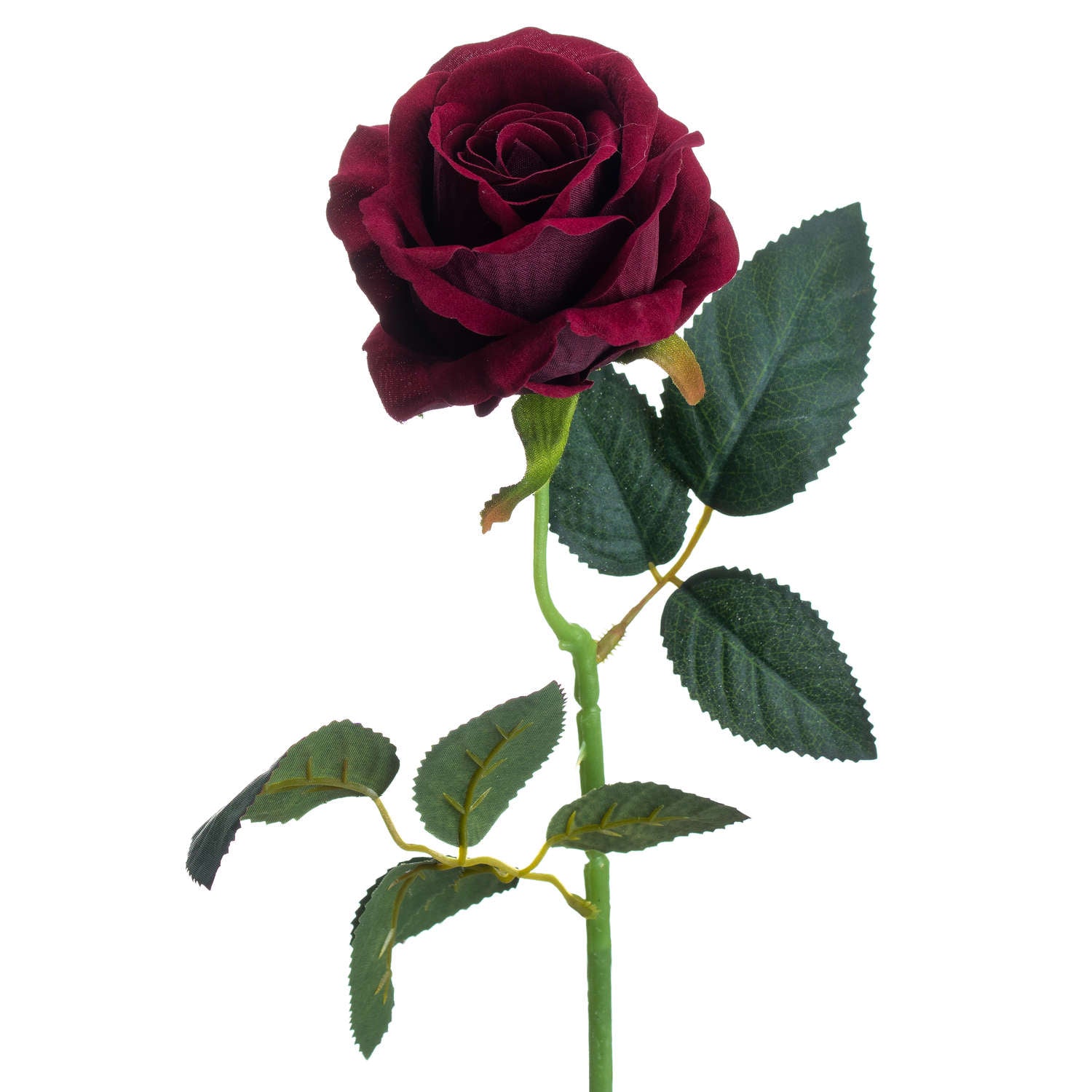 Deep Red Rose Stem
