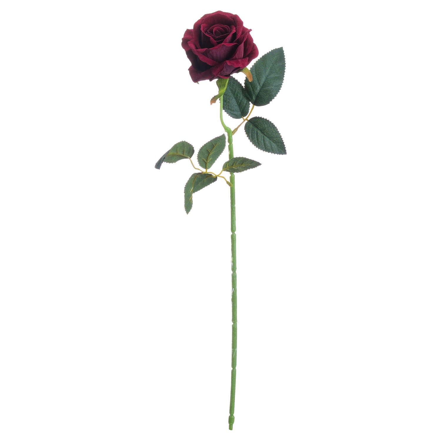 Deep Red Rose Stem