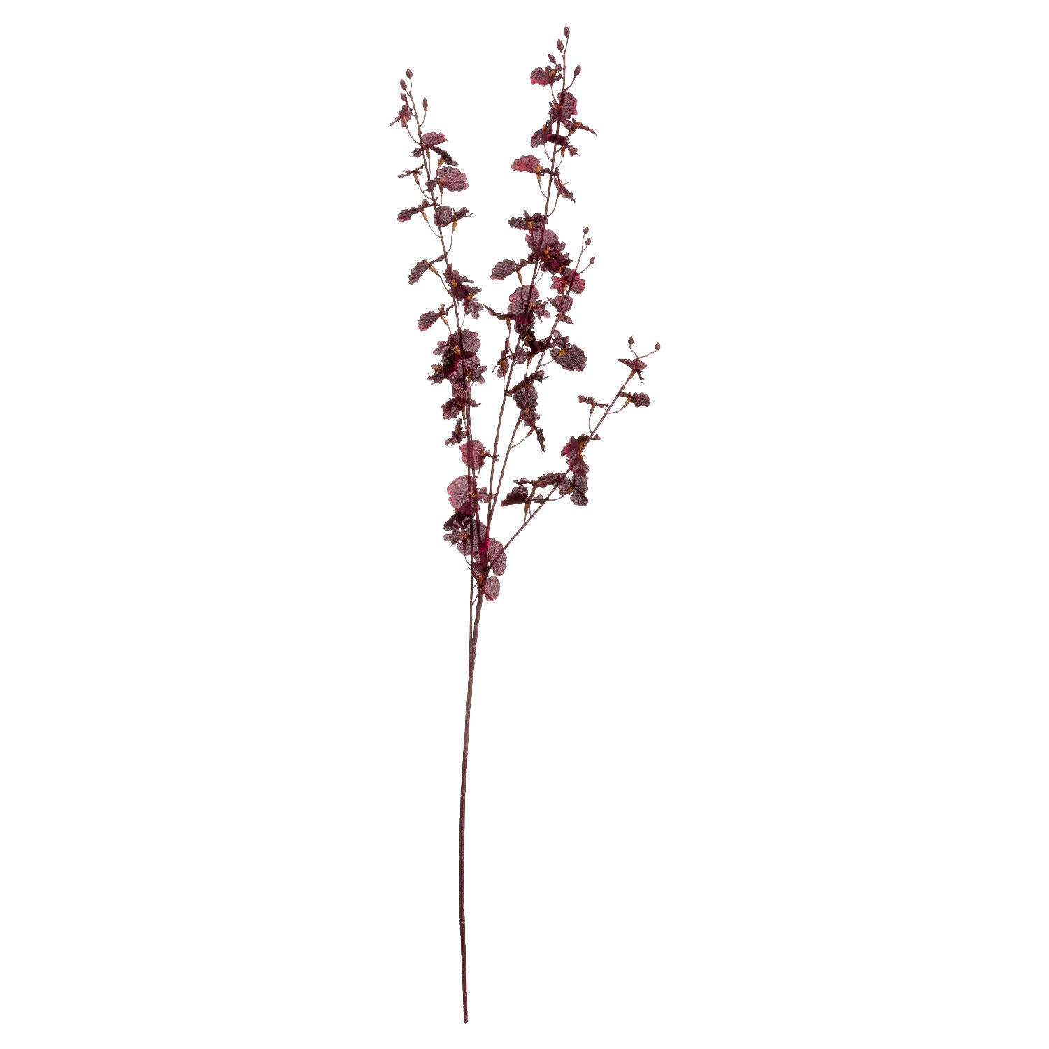 Deep Burgundy Orchid Stem