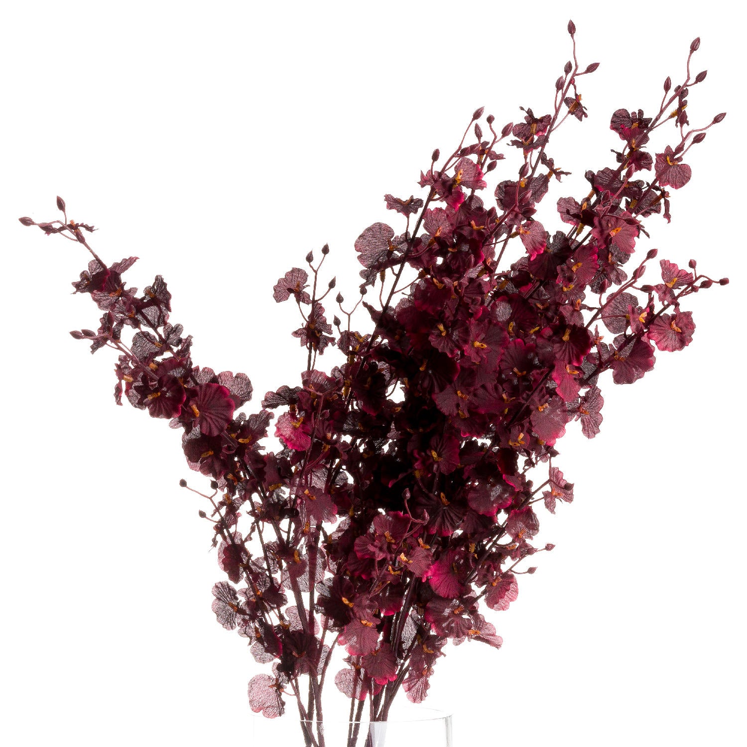Deep Burgundy Orchid Stem