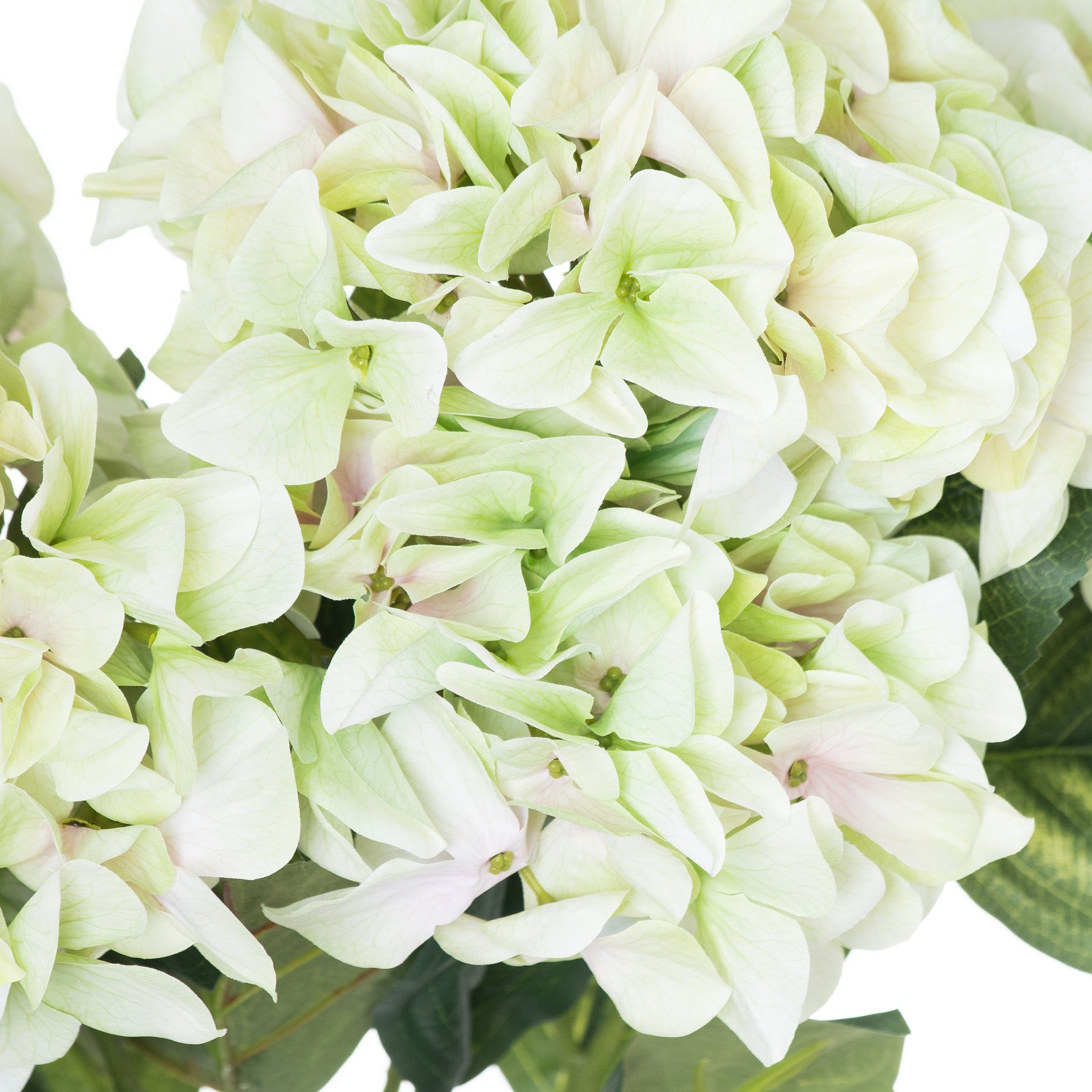 Sage Hydrangea Bouquet