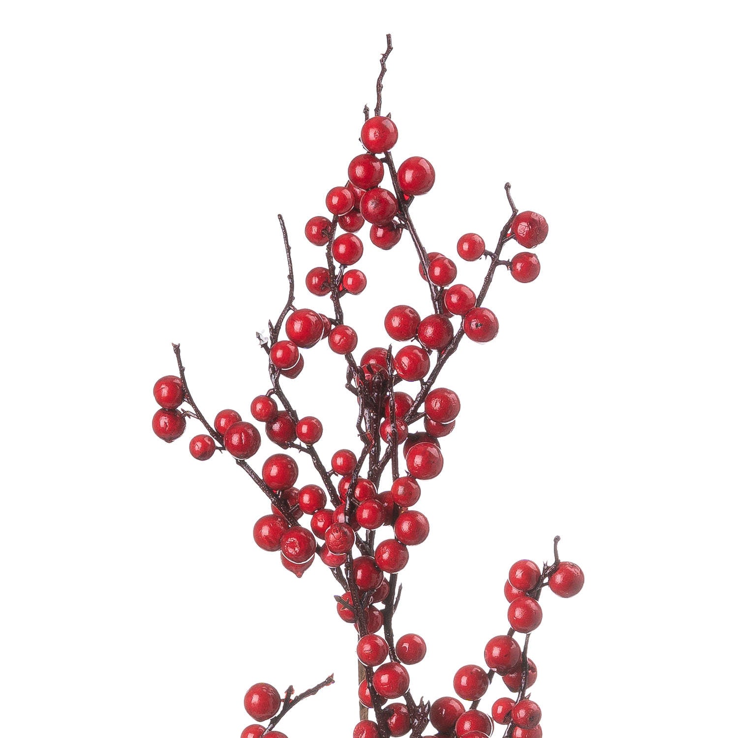 Festive Red Berry Stem