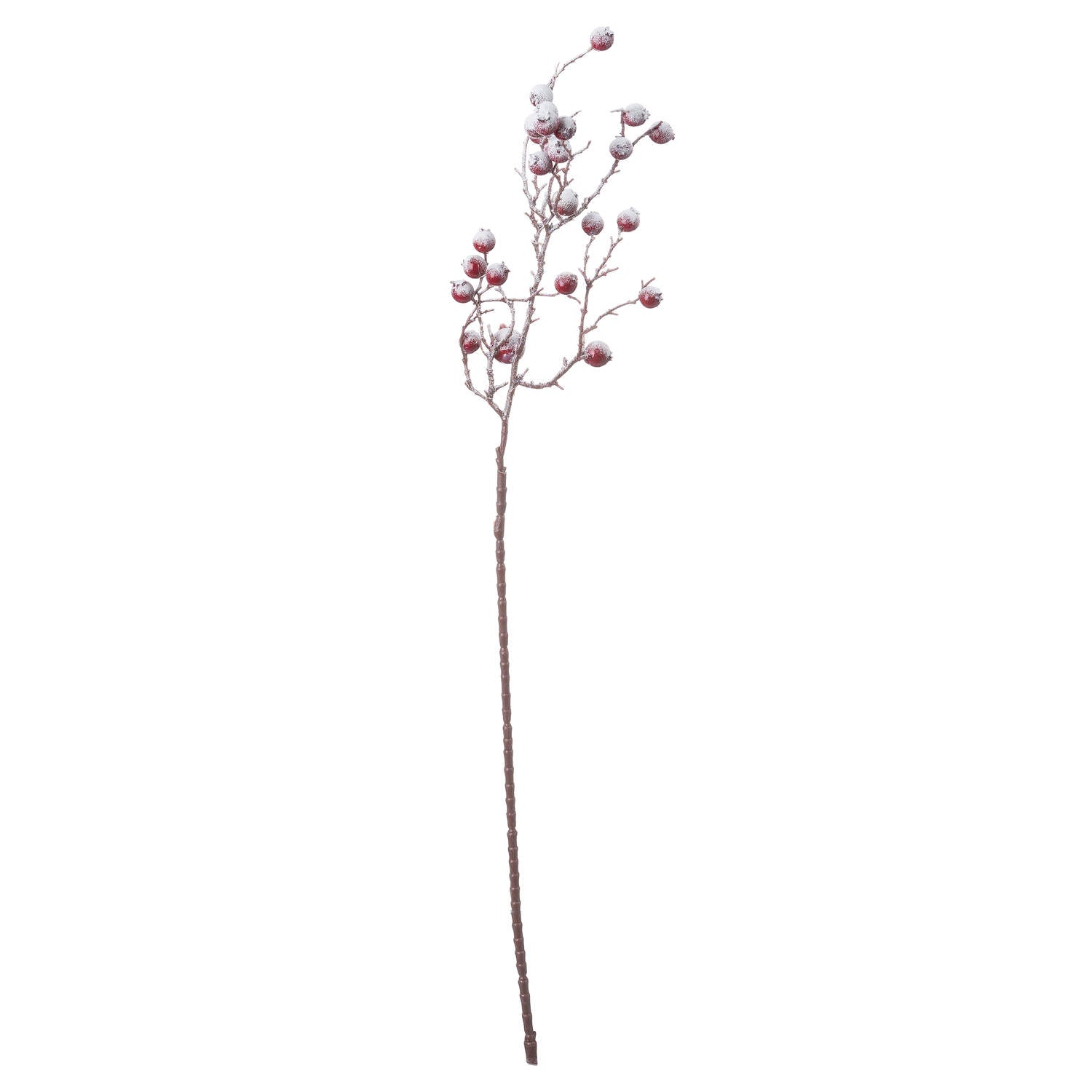 Frosted Red Berry Stem