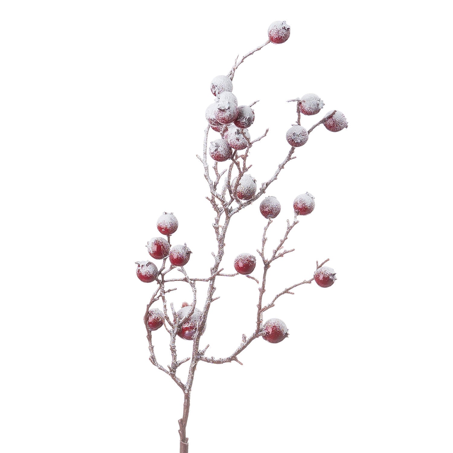 Frosted Red Berry Stem