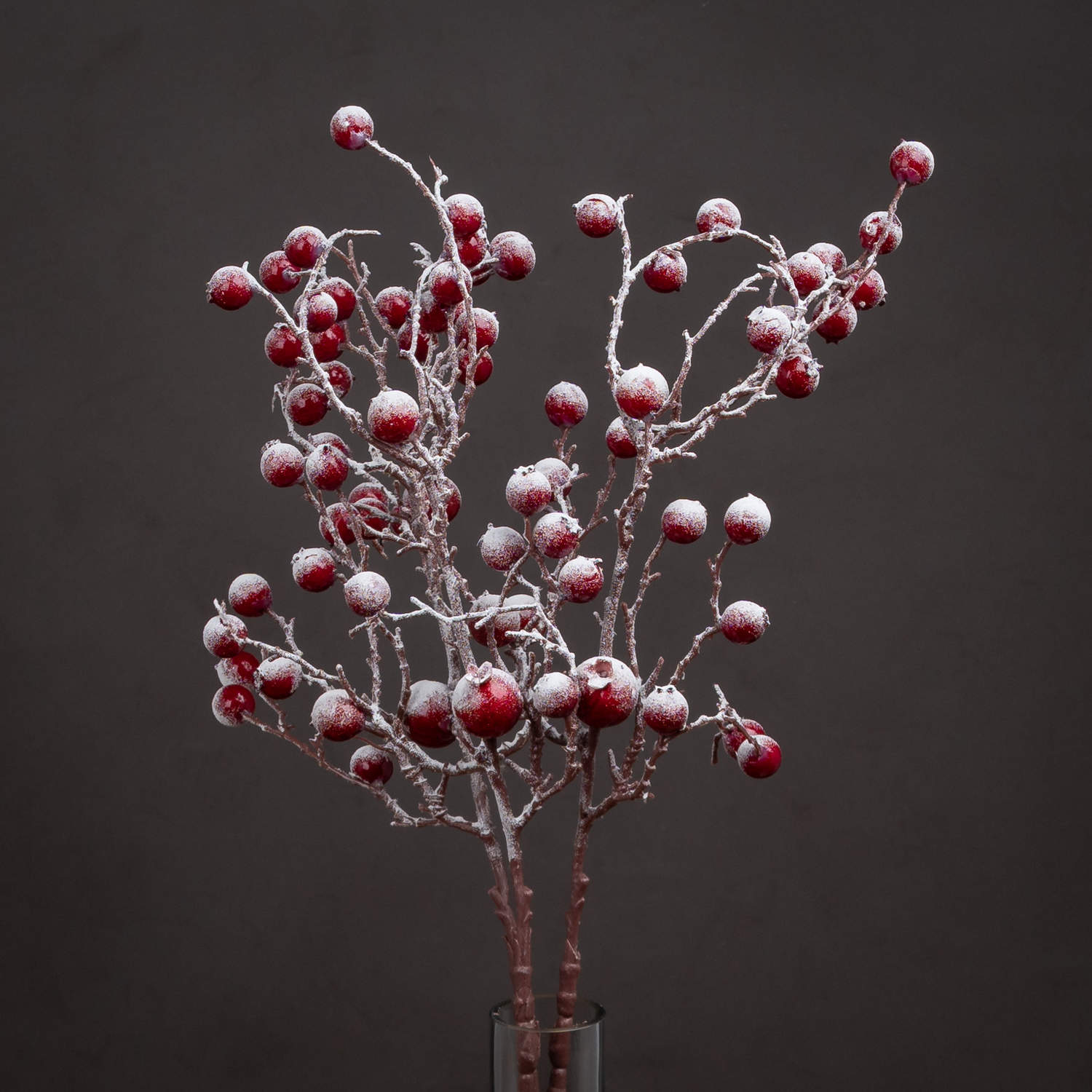 Frosted Red Berry Stem
