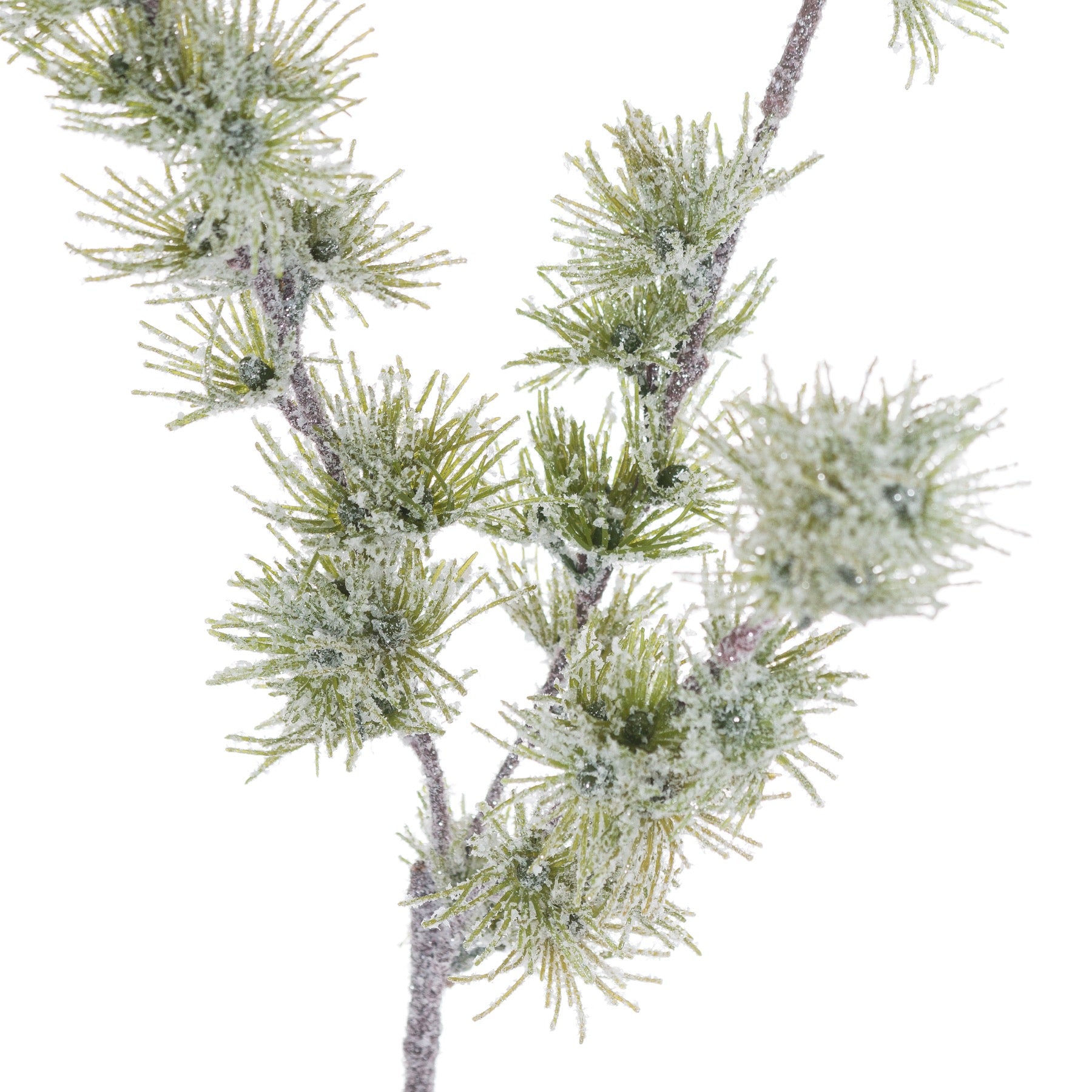 Frosted Snow Branch Stem