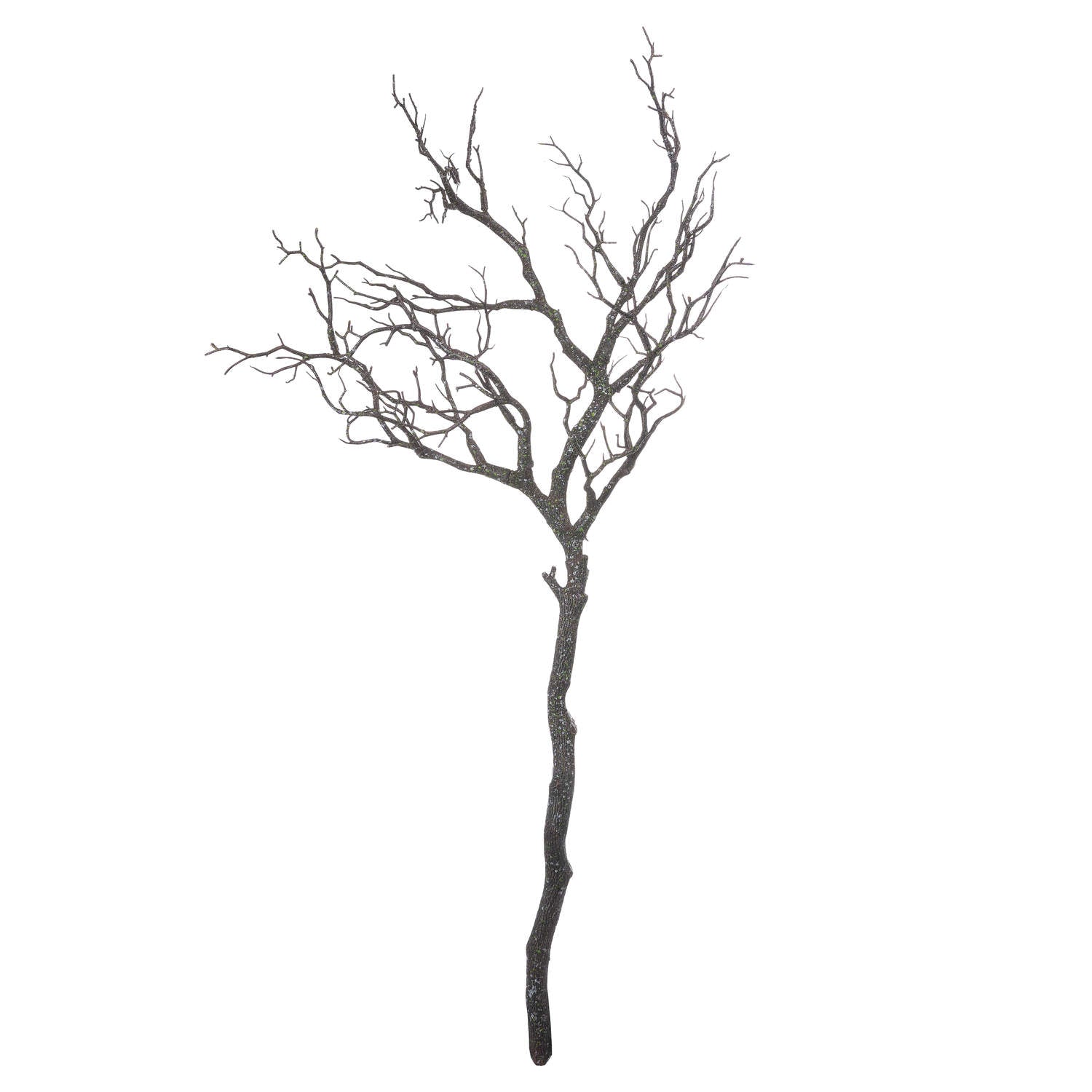 Tall Textured Branch Stem