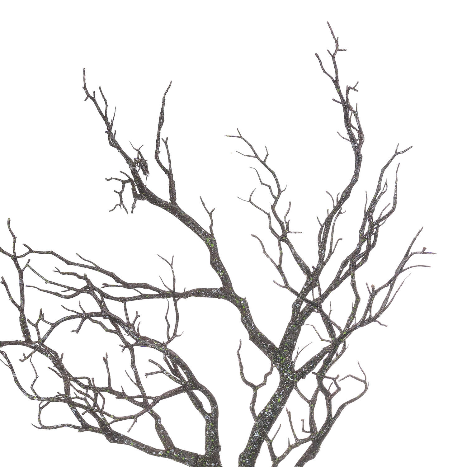 Tall Textured Branch Stem