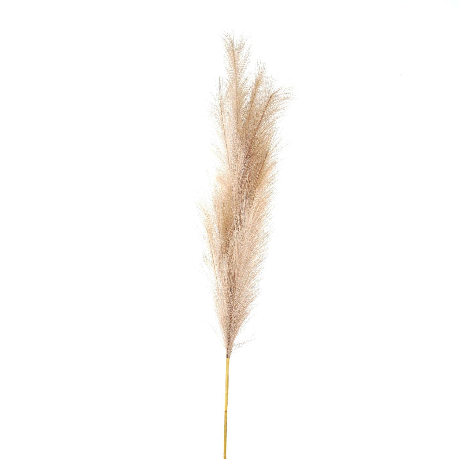 Celestia Bleached Oversized Pampas Stem