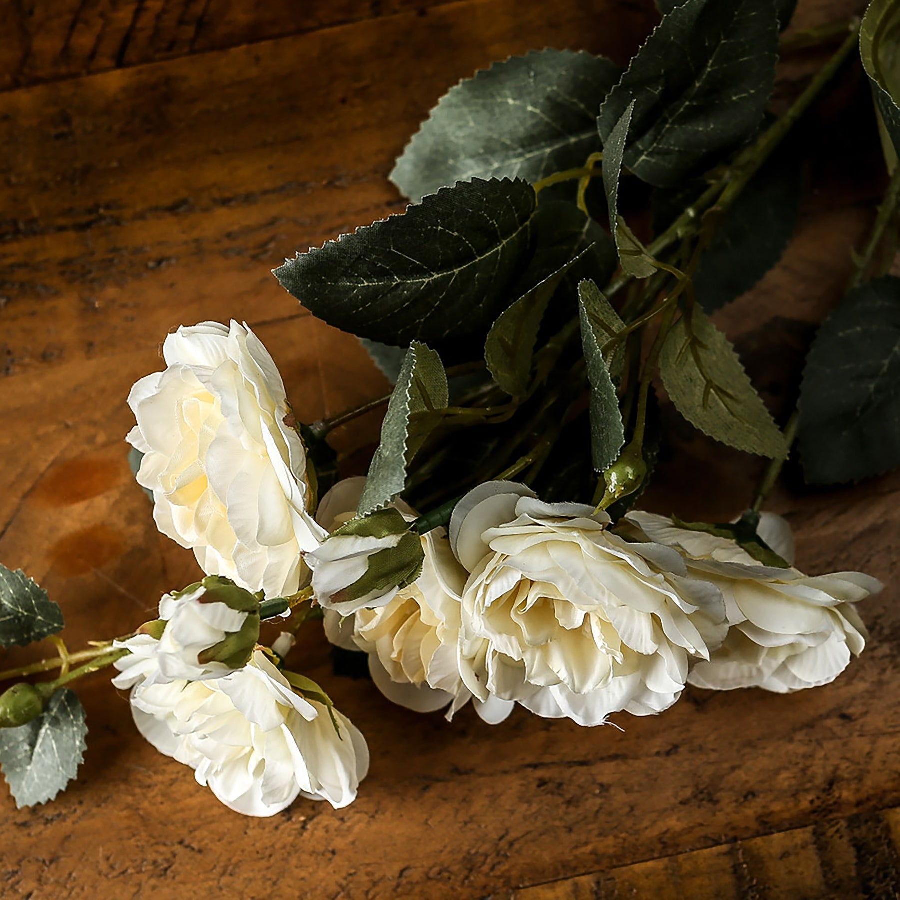 Soft White Garden Rose Stem