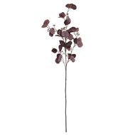 Burgundy Berried Eucalyptus Stem