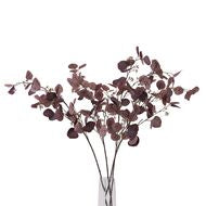 Burgundy Berried Eucalyptus Stem