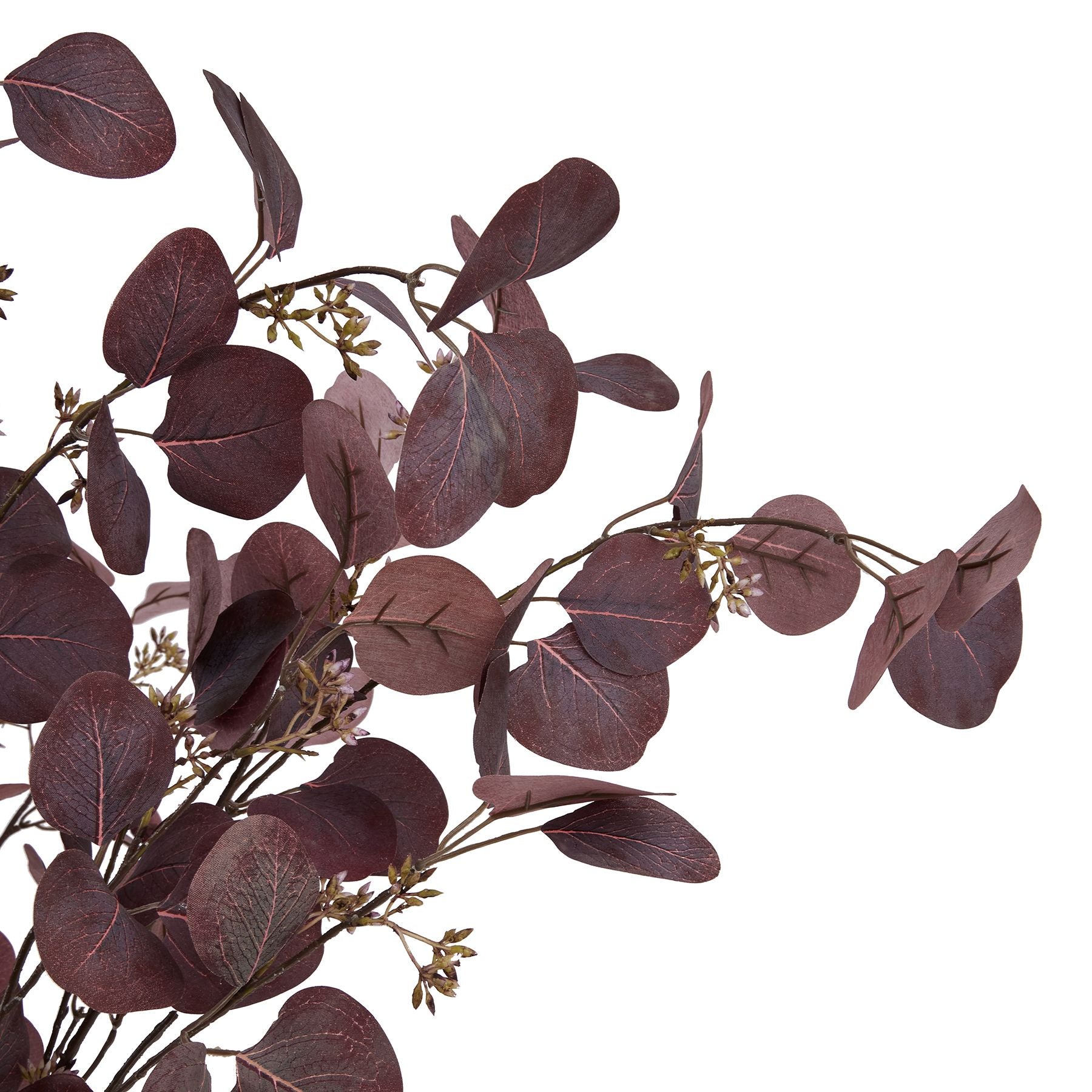 Burgundy Berried Eucalyptus Stem