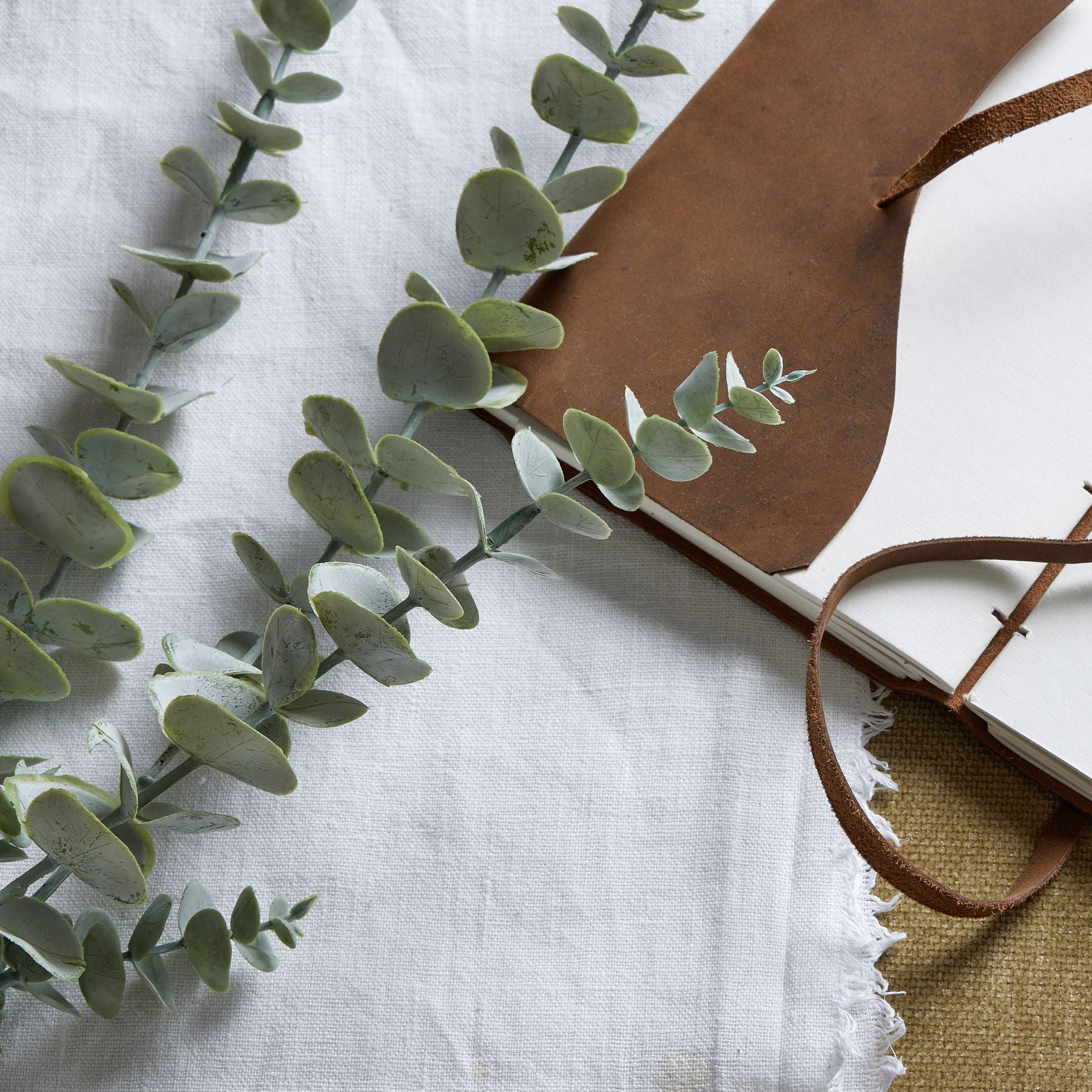 Silver Blue Hue Eucalyptus Stem