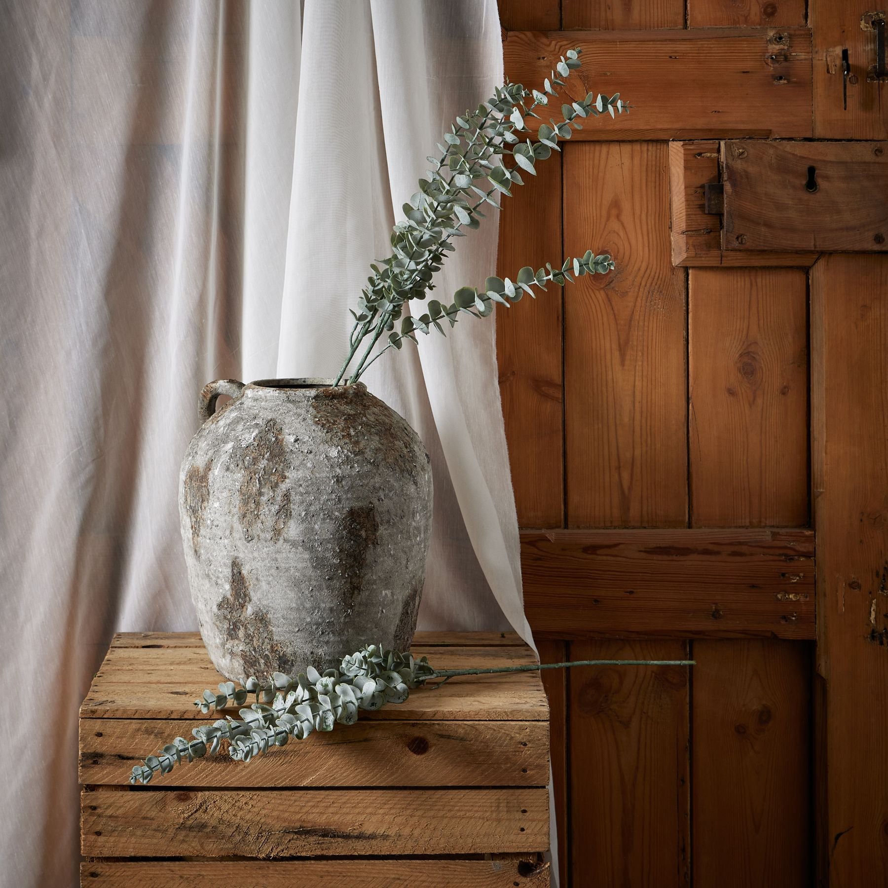 Silver Blue Hue Eucalyptus Stem