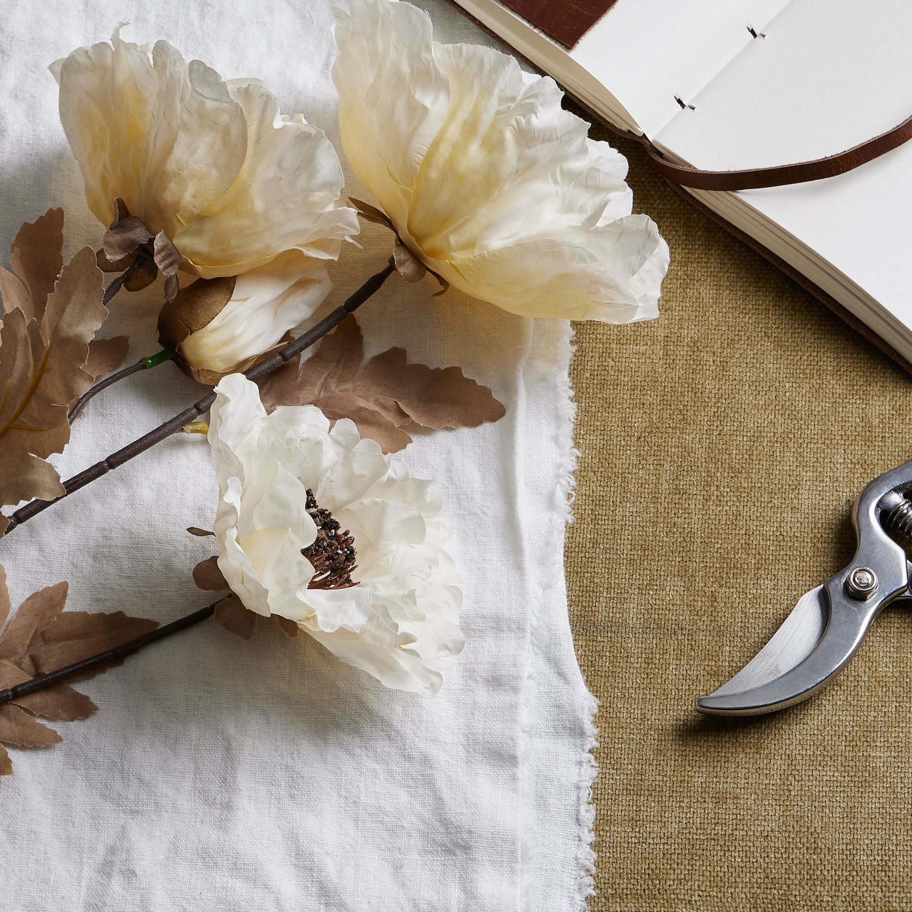 Classic White Poppy Stem