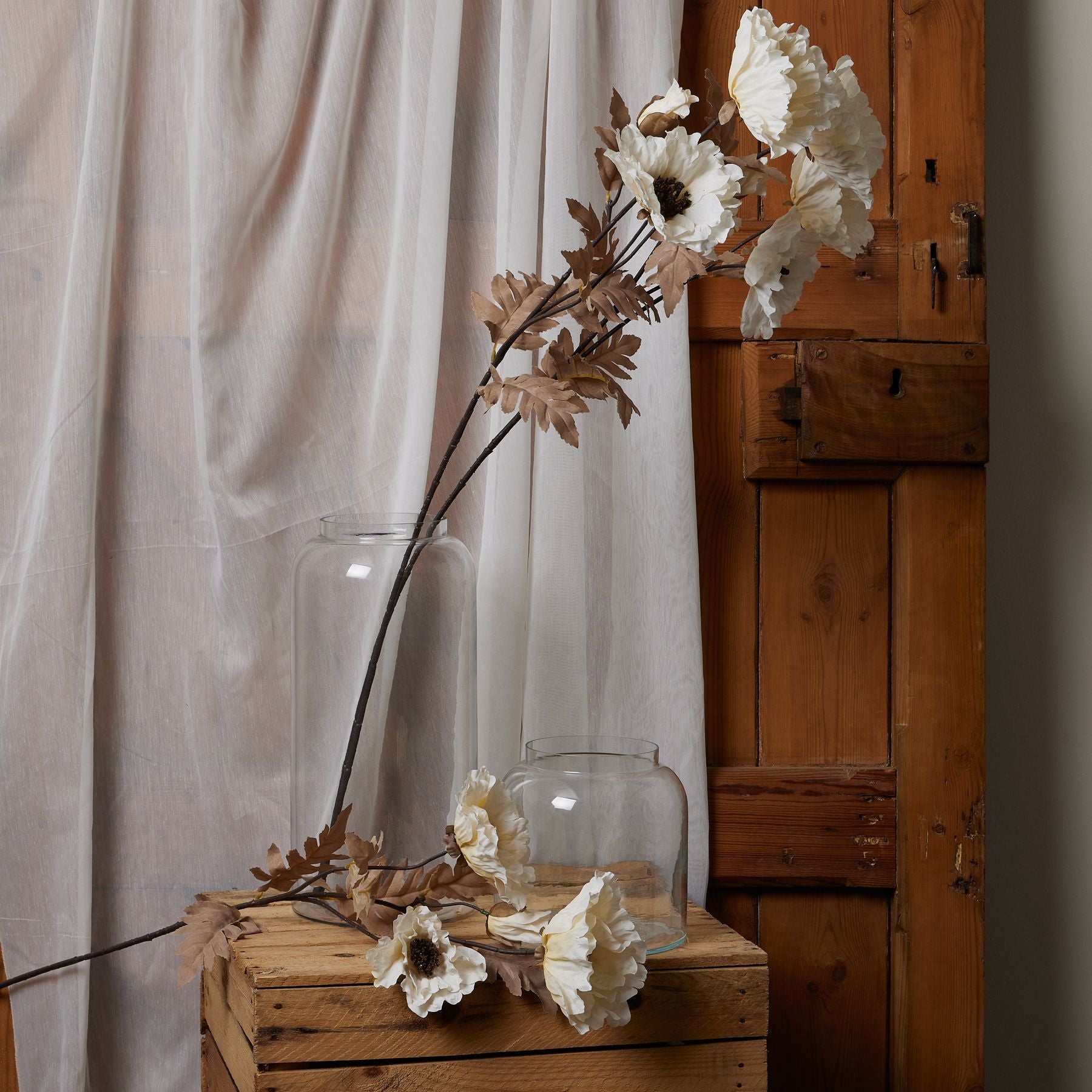 Classic White Poppy Stem