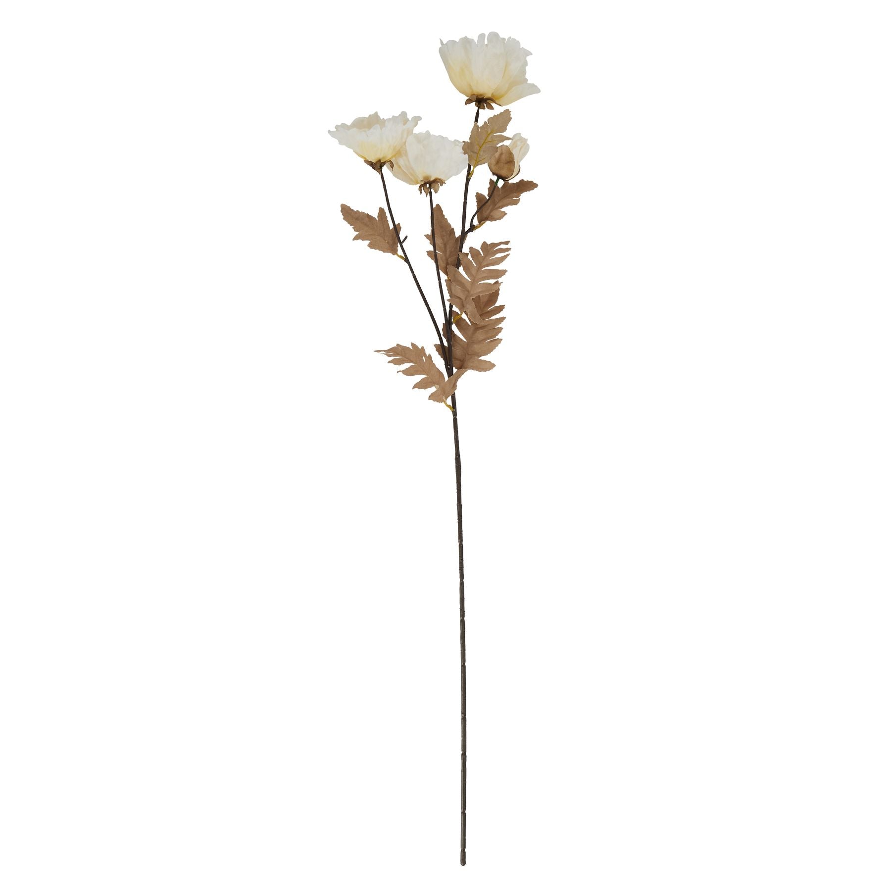 Classic White Poppy Stem